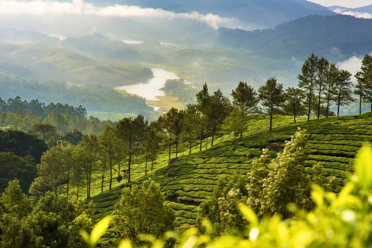 Incredible Kerala Travel Package | 14 Nights 15 Days Backwater Paradise