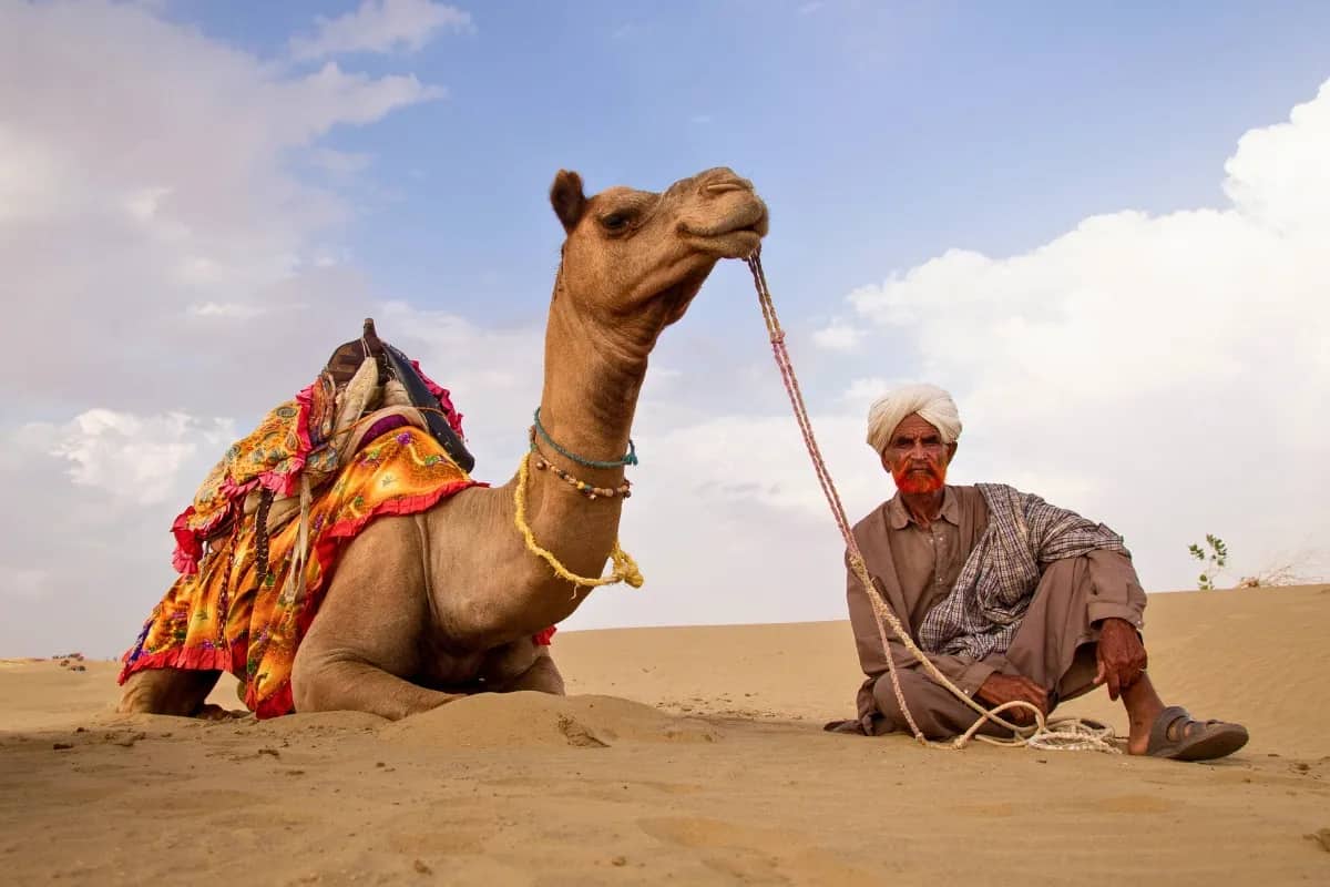 Incredible Rajasthan Package | 6 Days Heritage Discovery | 5 Nights 6 Days