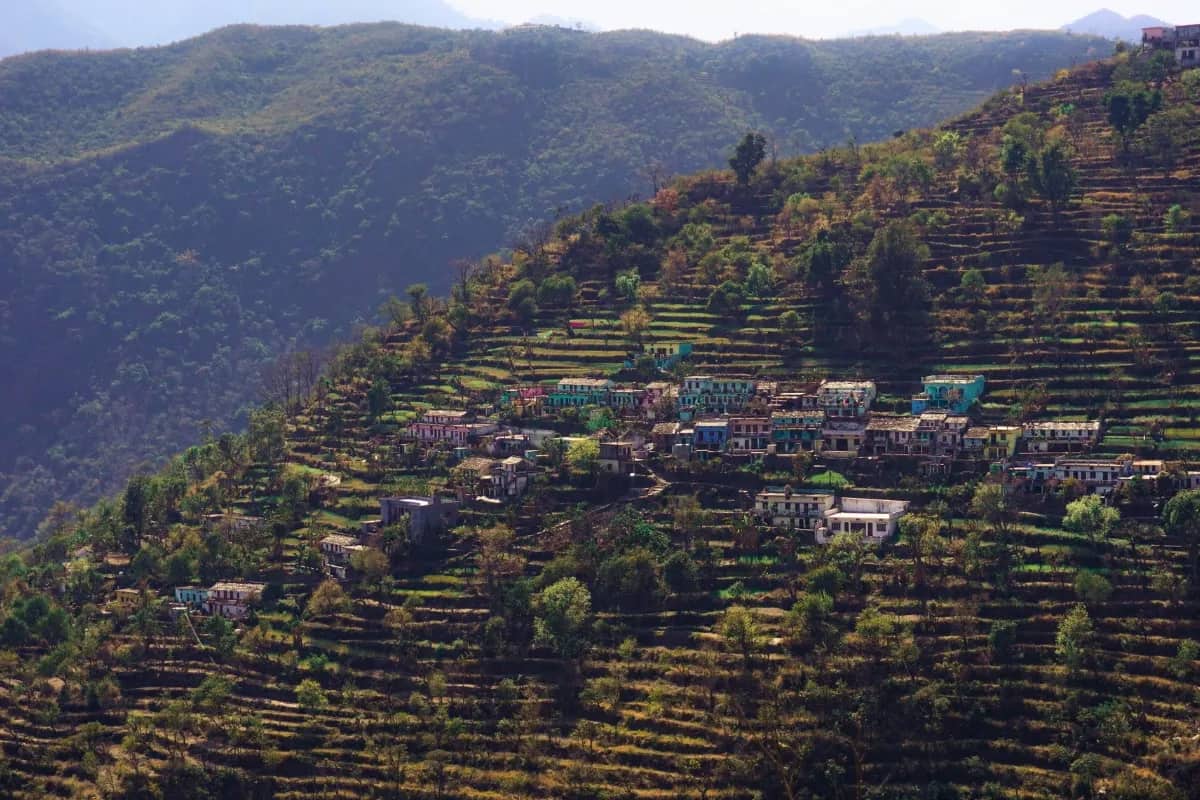 Exclusive Charming Offbeat Darjeeling Tour | 3 Nights 4 Days Lolegaon Canopy Walk