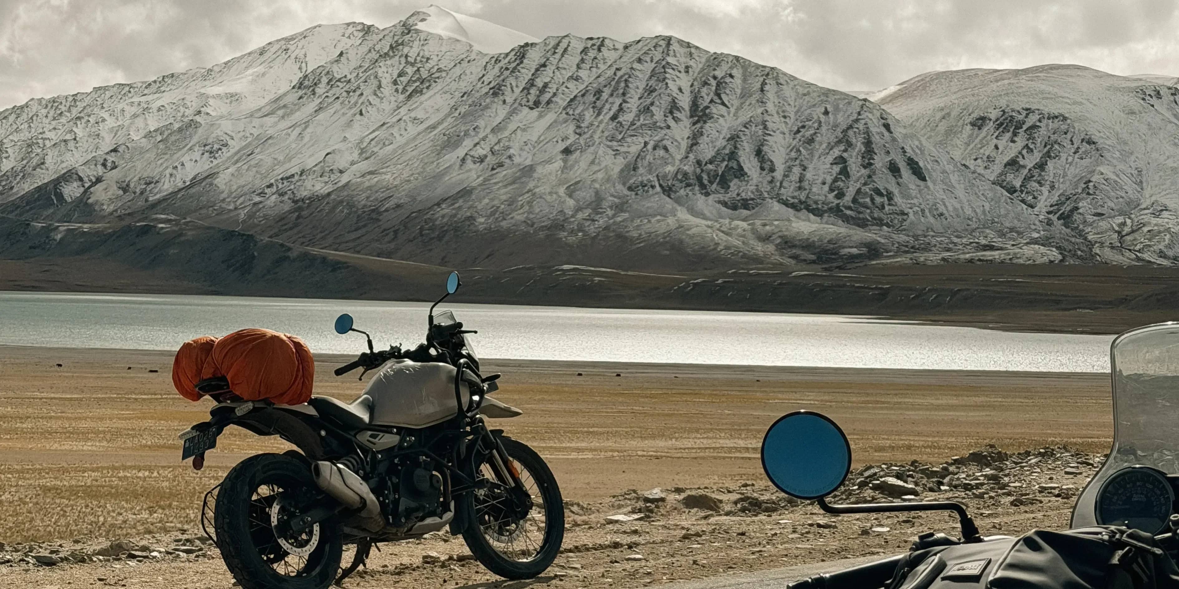 Seasoned 8 Days Snow Leopard Expedition Ladakh | Profound