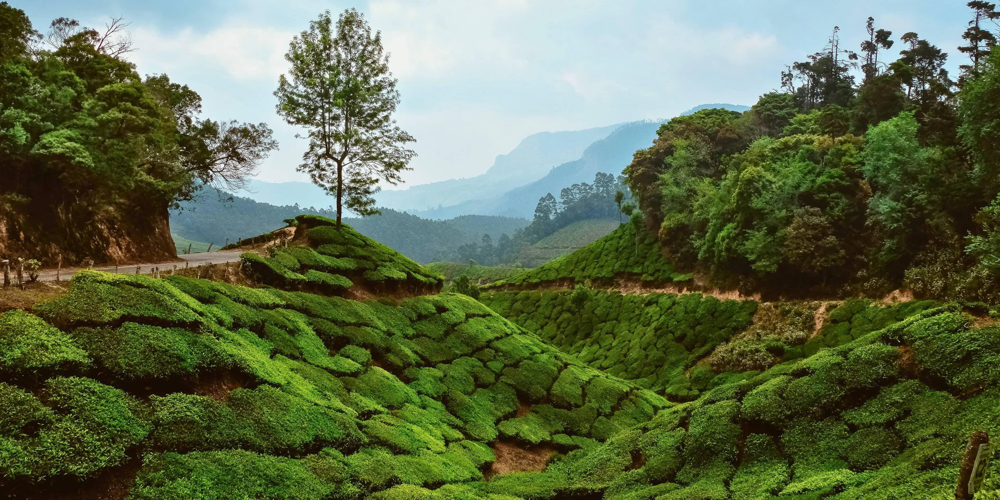 6 Deep Bekal Fort Beach Tour Package Kerala 2027 | Fierce