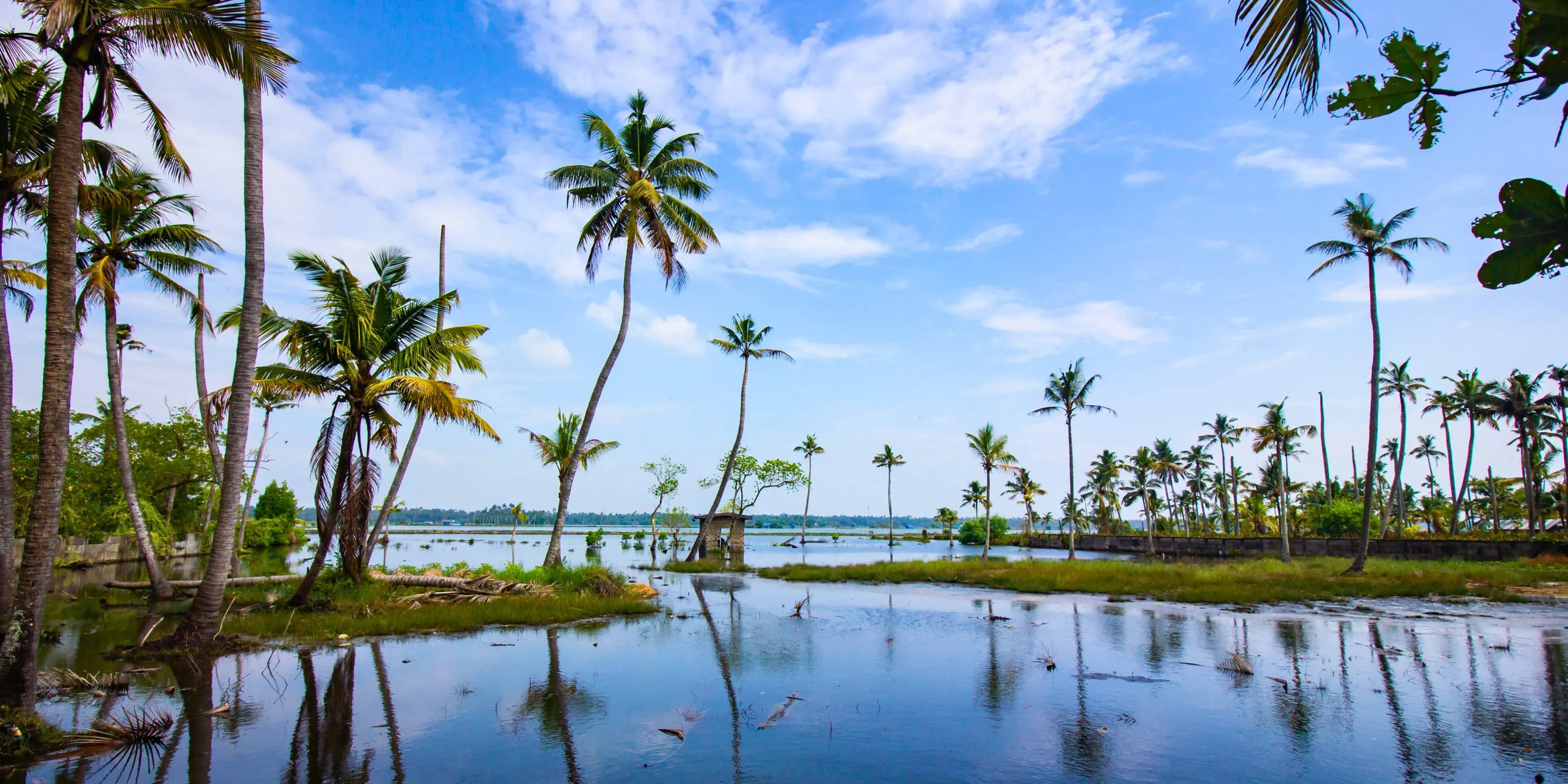 Kerala Honeymoon Package 7 Nights 8 Days 2027 | Romantic