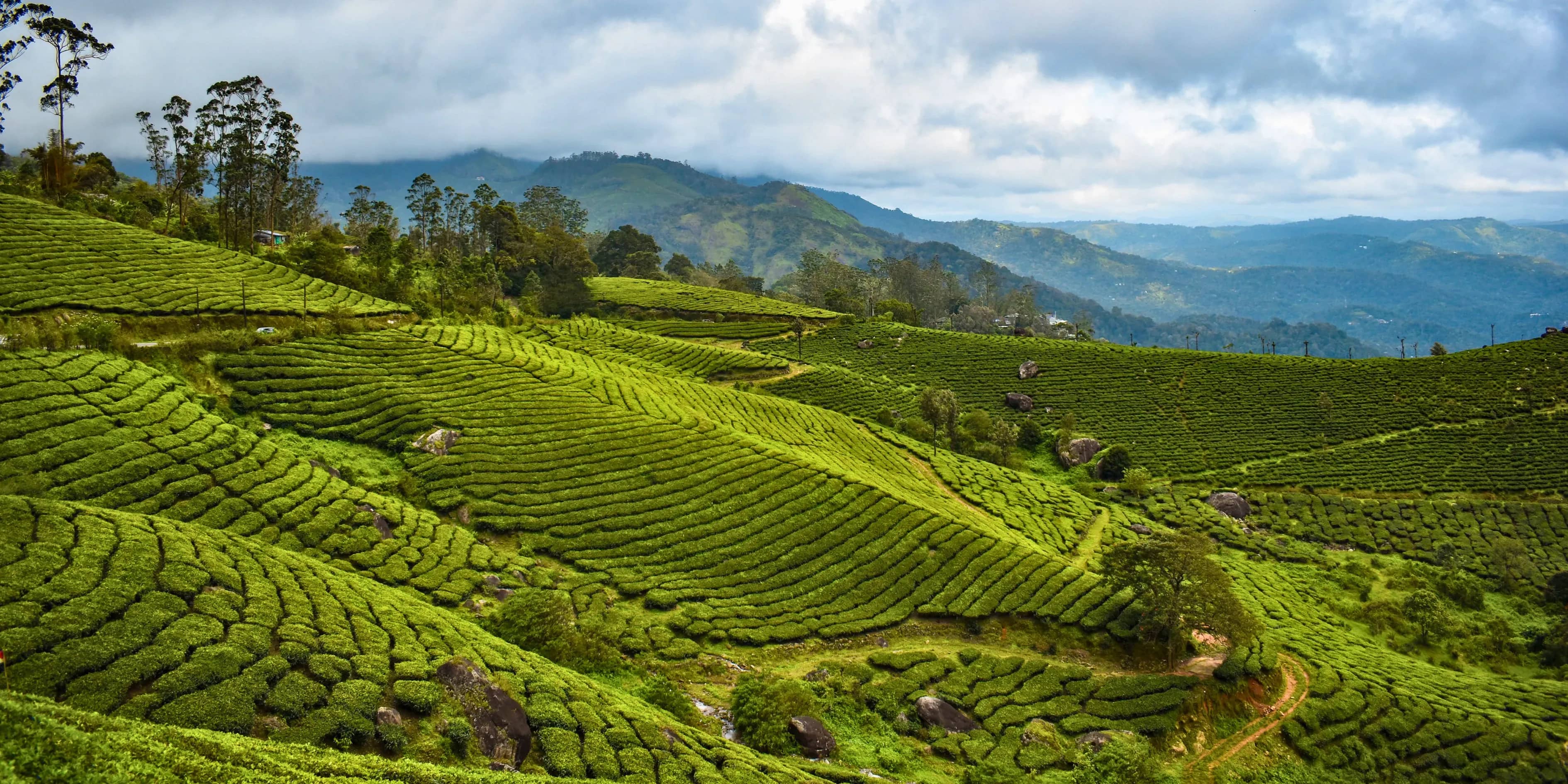 6 Kerala Offbeat Tour Package With Gavi Forest | Untamed