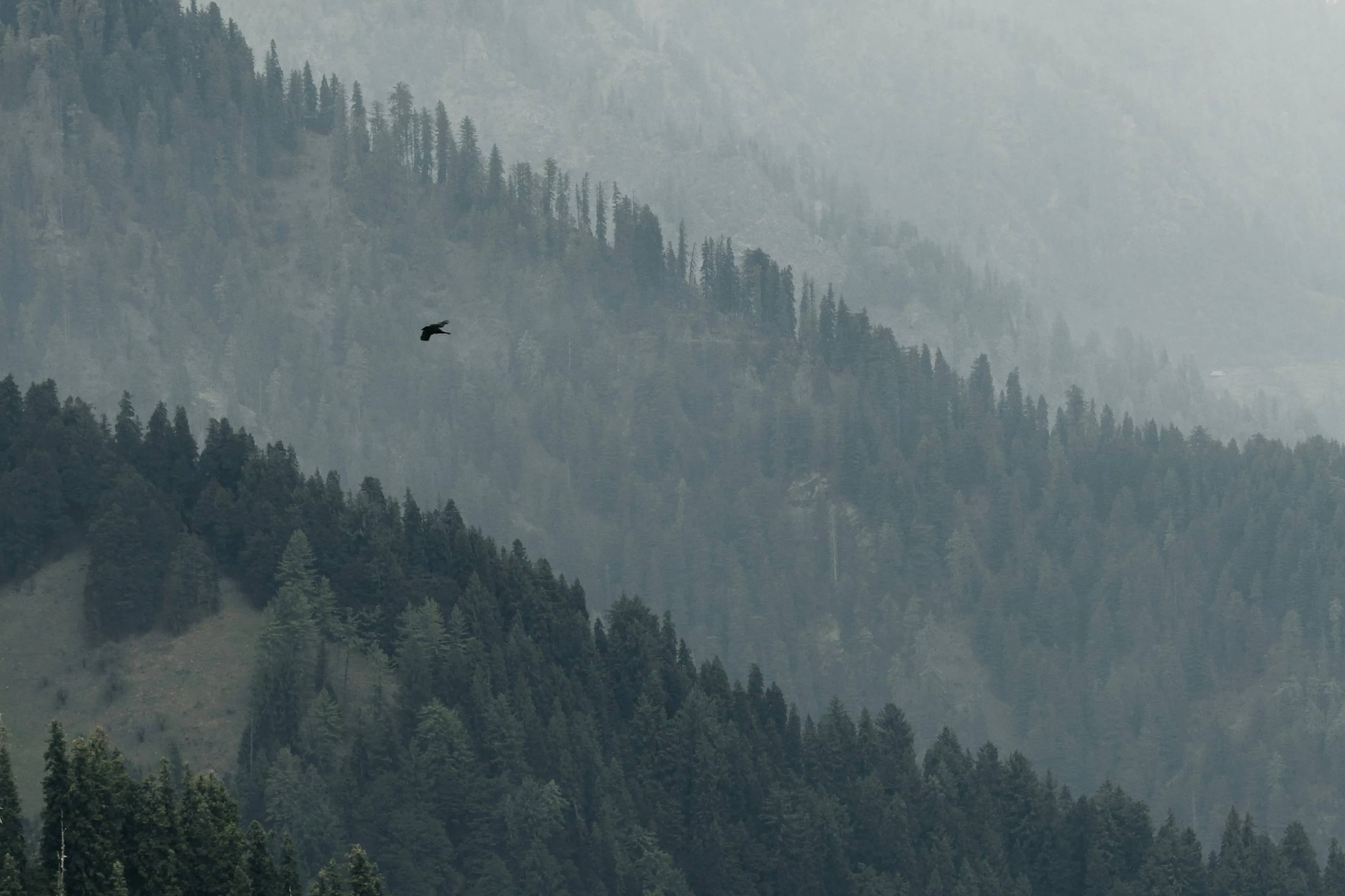 Kullu Manali River Rafting Package