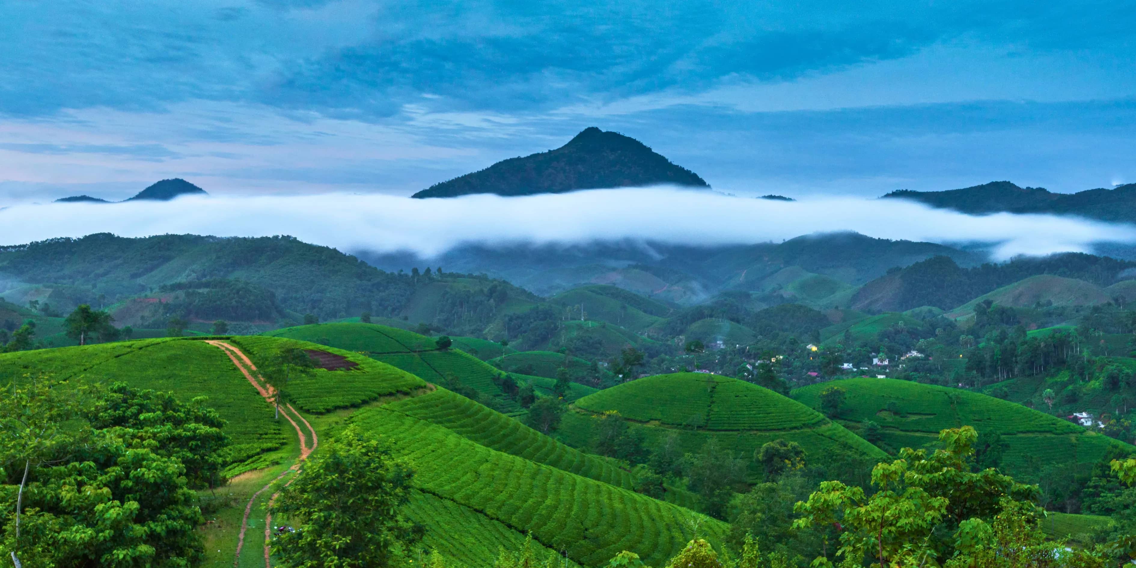 5 Quiet Munroe Island Backwater Tour Package Kerala | Still