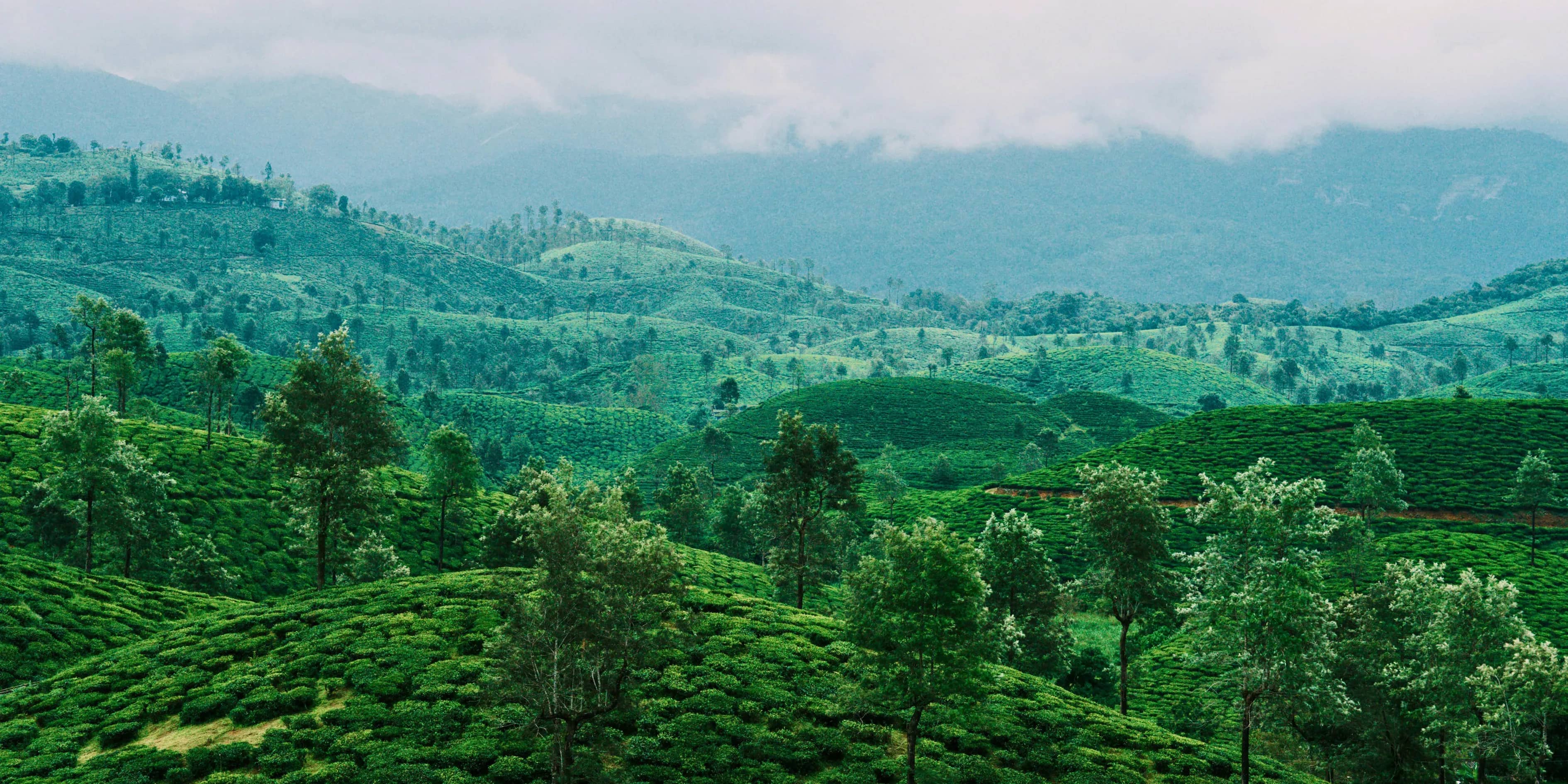 4 Hidden Poovar Island Tour Package Kerala 2027 | Secluded