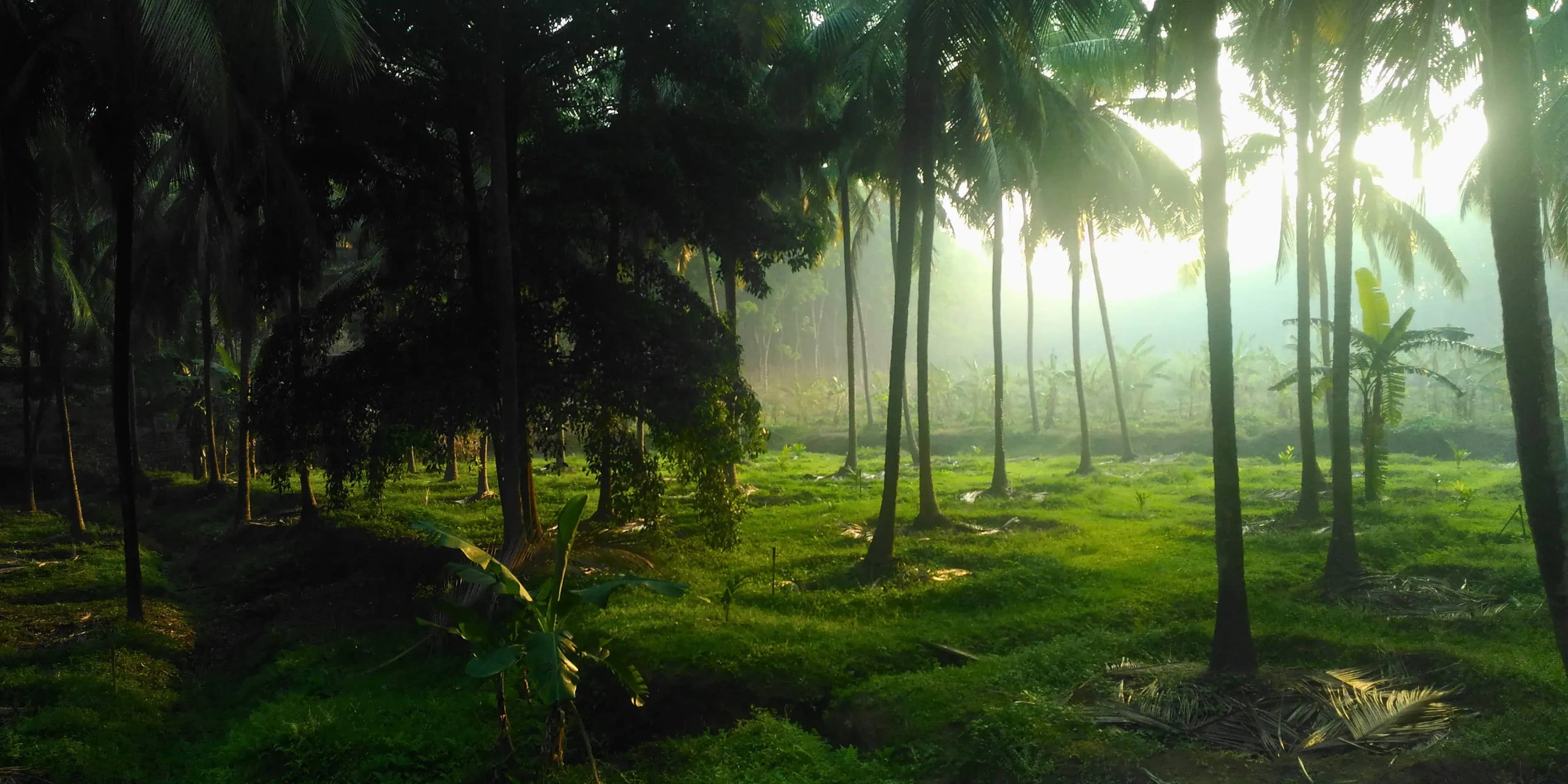 4 Bold Vagamon Hills Tour Package From Kochi 2027 | Rare