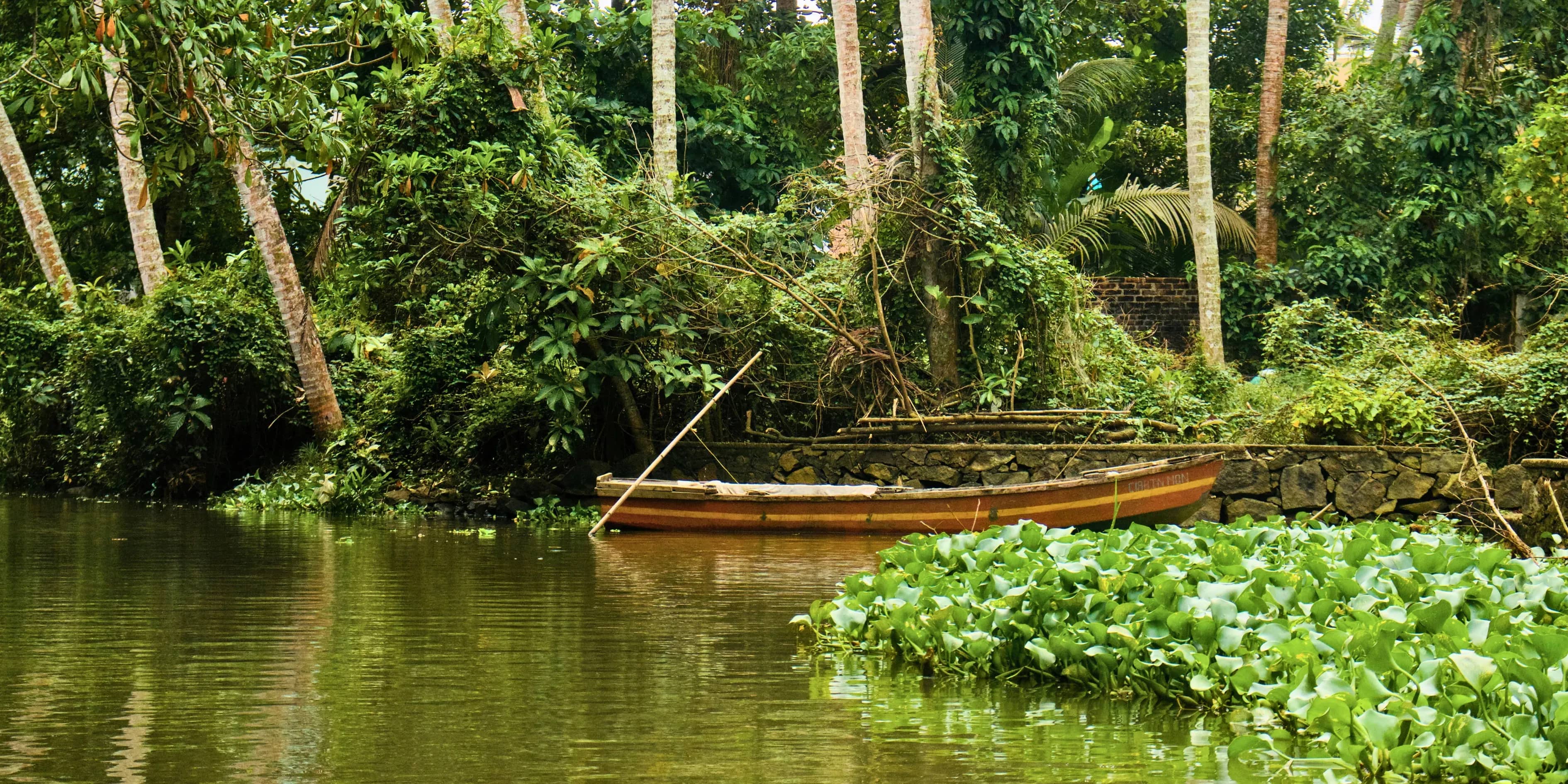 7 Vivid Wayanad To Bekal Offbeat Kerala Tour 2027 | Alive
