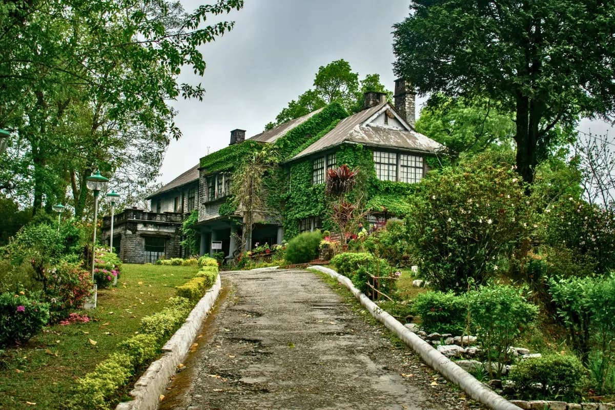 Amazing Spiritual Buddhist Monastery Kalimpong | 3 Nights 4 Days Lava Forest Tour