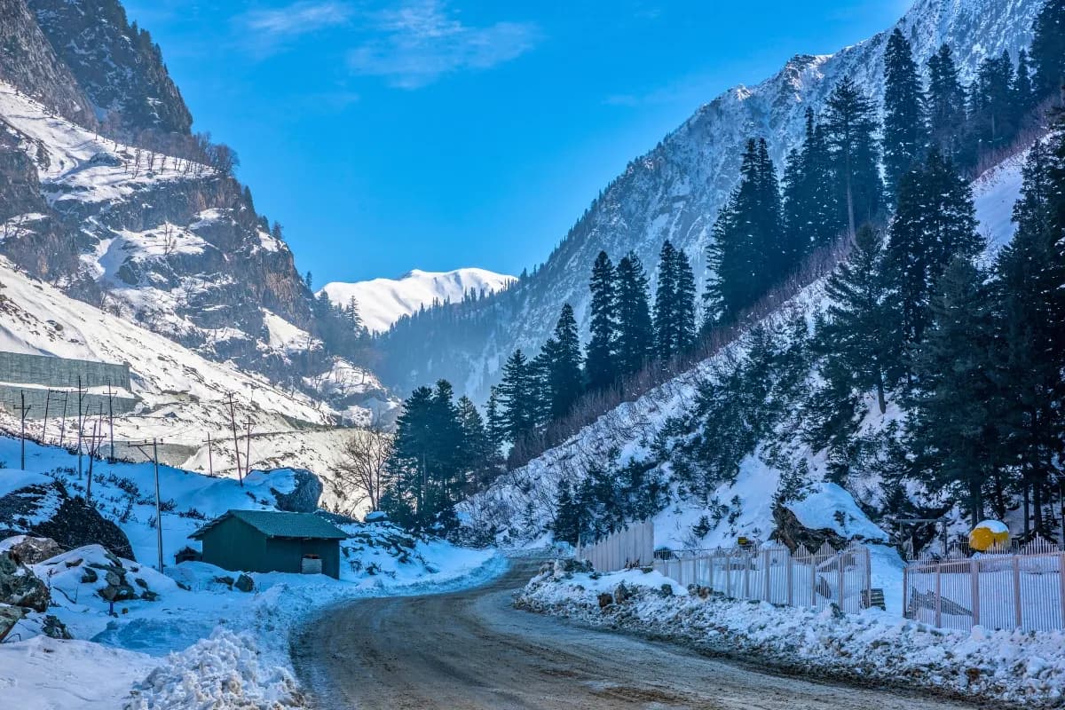Stunning Kashmir Tour | 6 Nights 7 Days Premium Valley Circuit