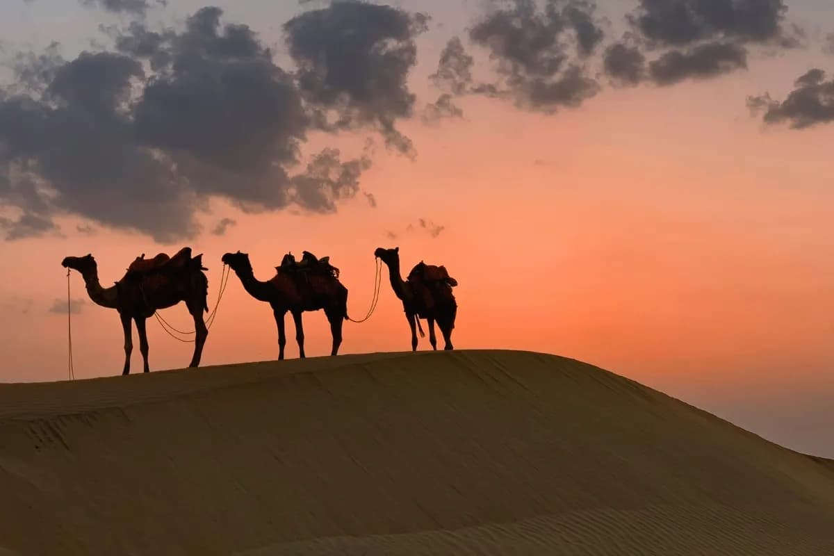 Fantastic Rajasthan Package | 8 Days Royal Journey | 7 Nights 8 Days