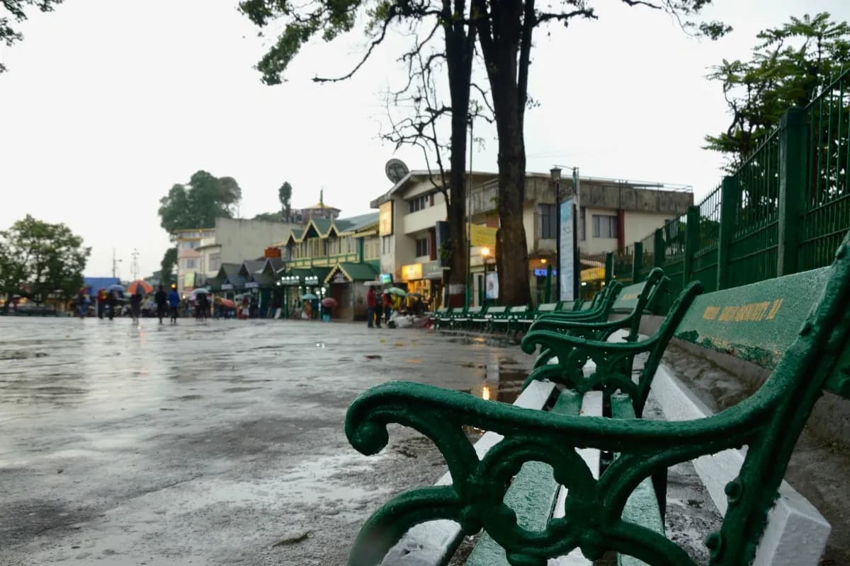 Darjeeling Packages & Pattabong Paradise | Tea Estate Immersion 4 Nights 5 Days