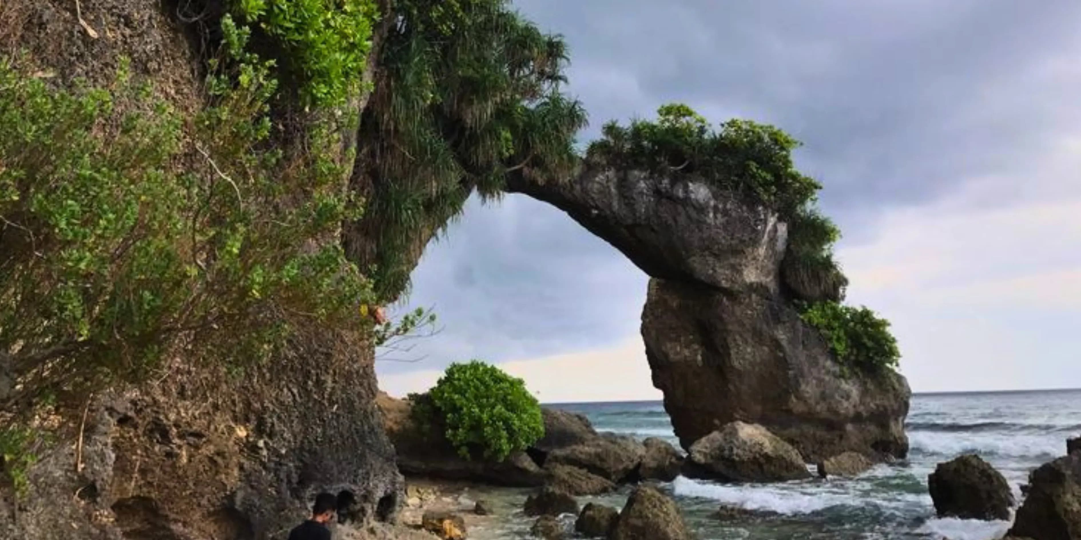 Canopy 6 Days Andaman Birding Package | Resonant