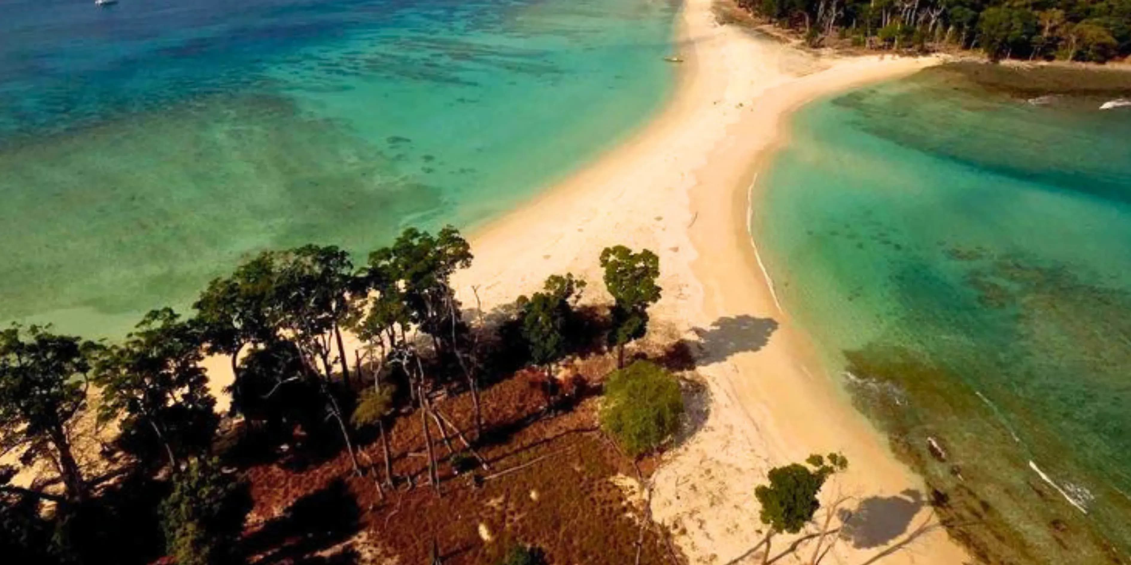 Trailhead 5 Days Andaman Trekking Package | Forested