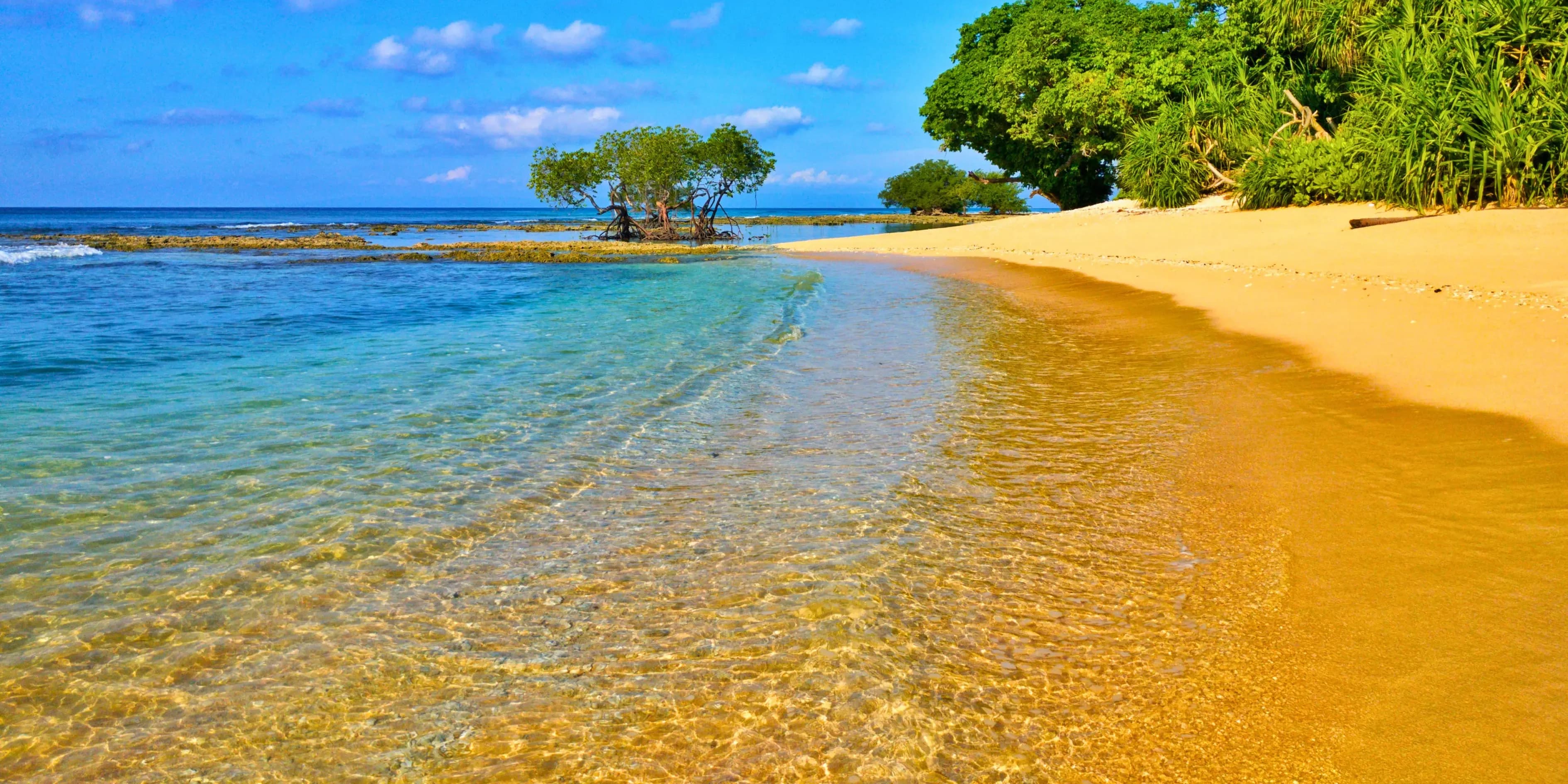 6 Day Capital Andaman Trip From Delhi | Distant
