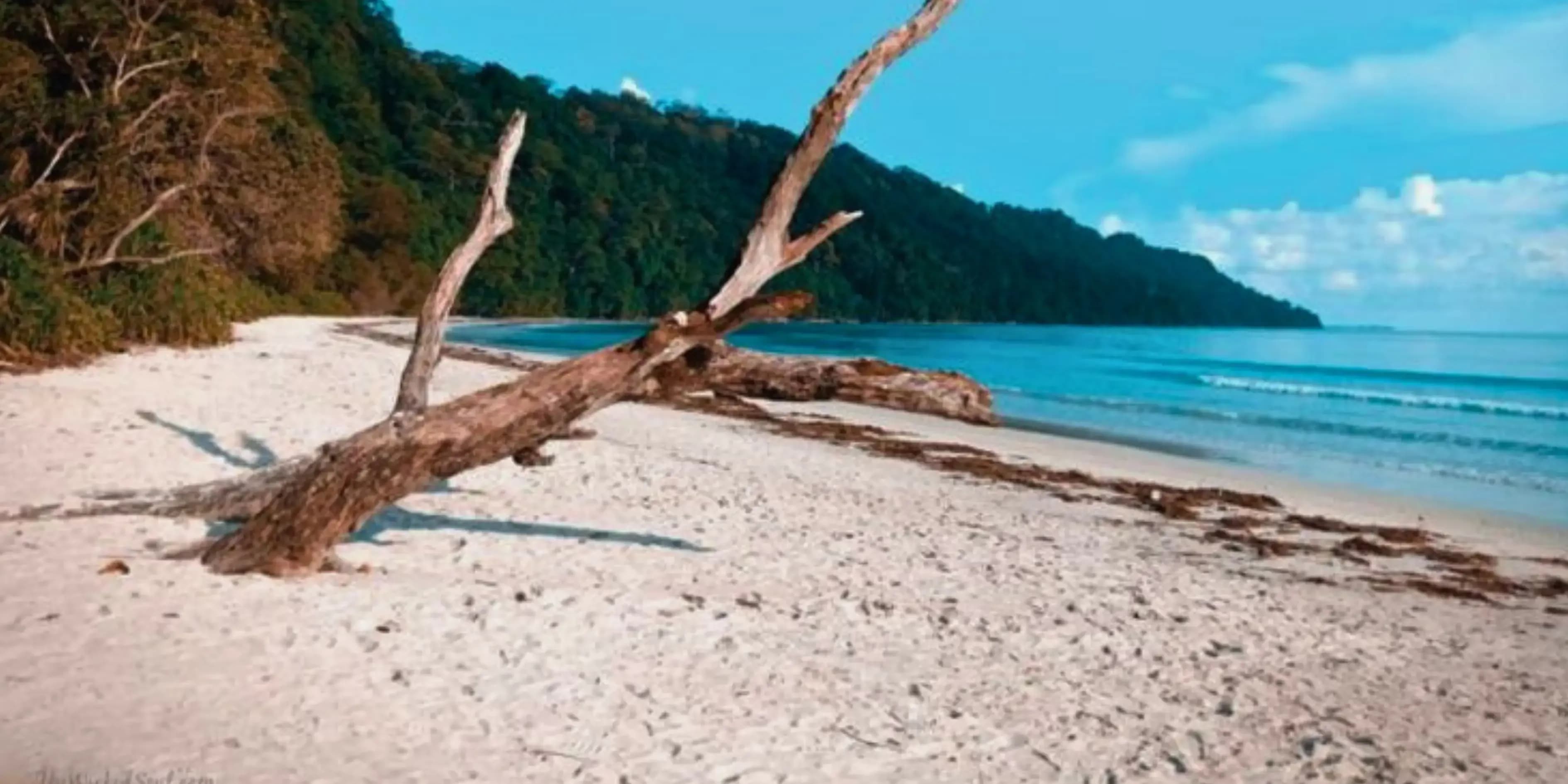 Compact Andaman Trip Plan For 4 Days 2027 | Essential