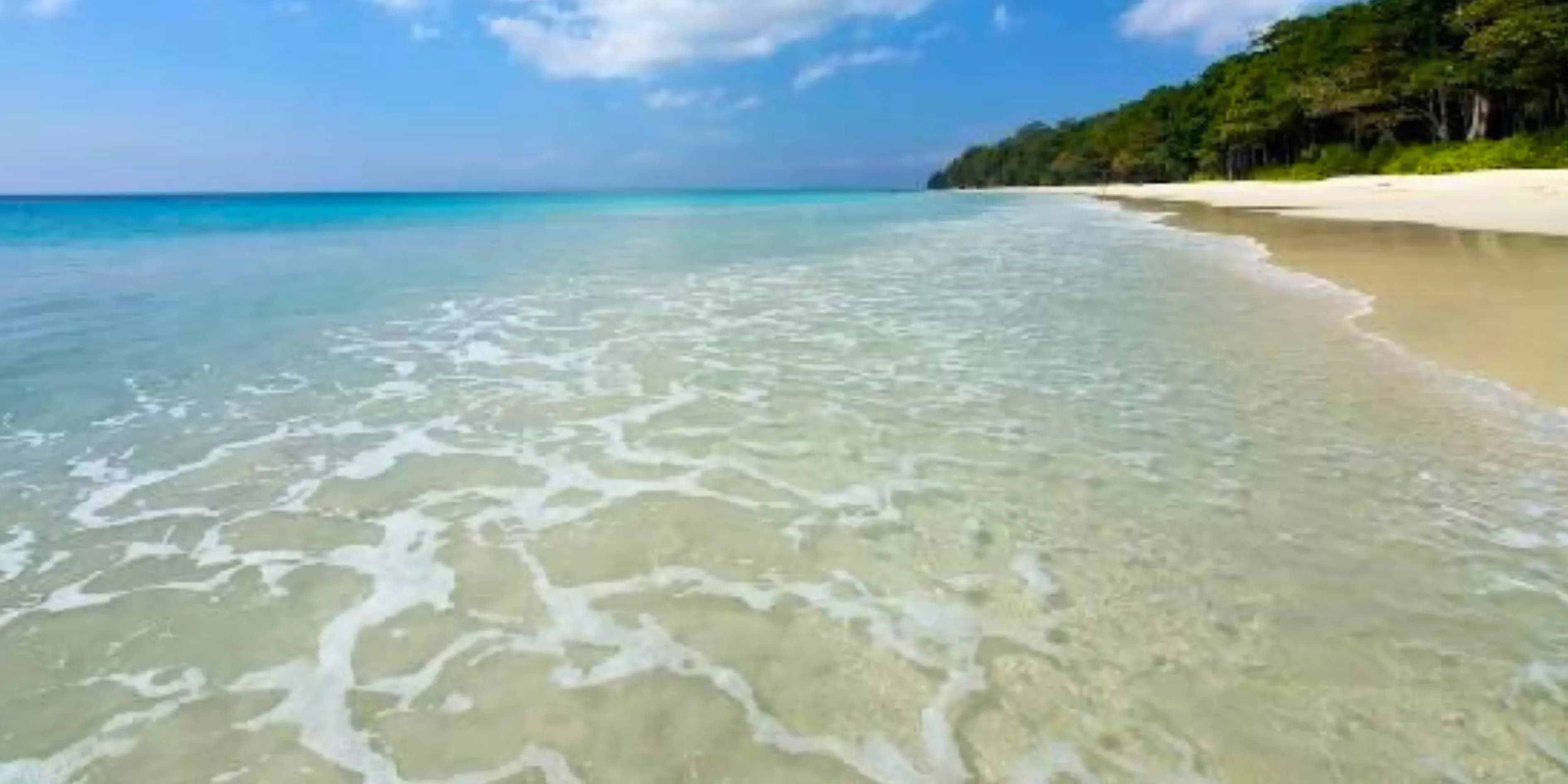 Shoreline Andaman Turtle Conservation Package | Primordial