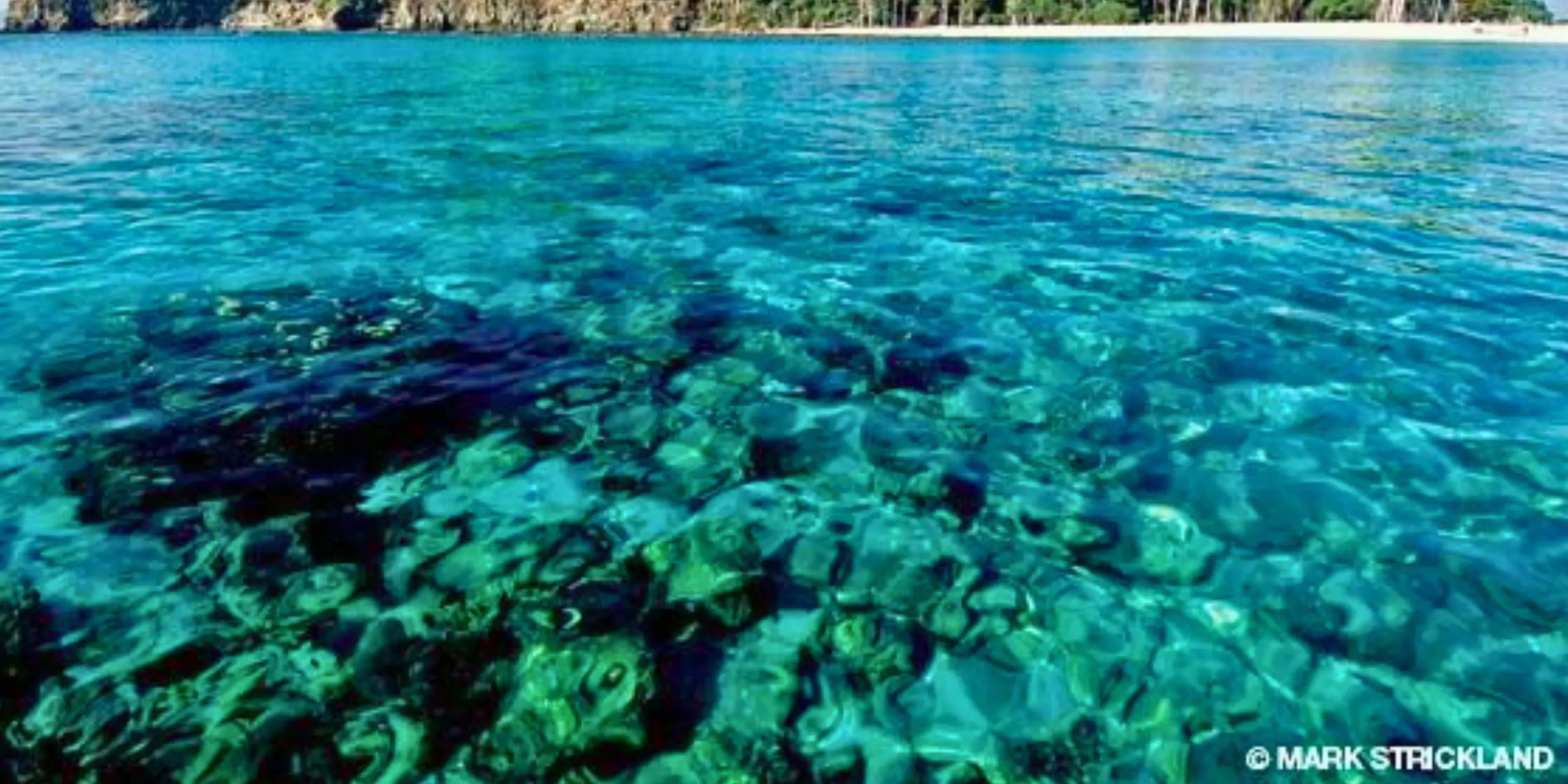 Volcanic 5 Days Barren Island Andaman Package | Molten