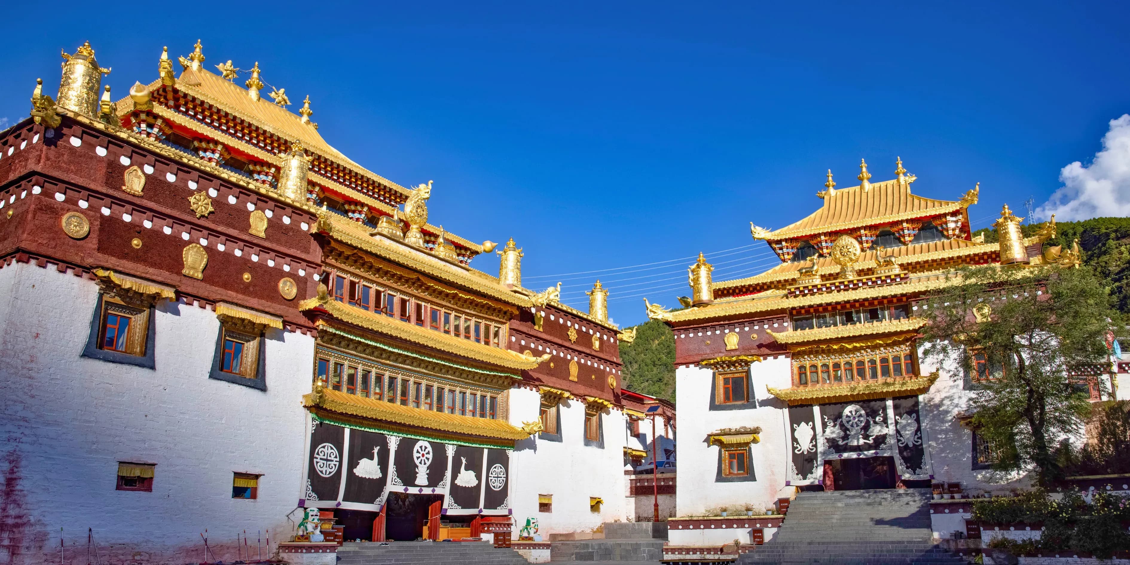 7 Modern Bhutan Tour Package From Bengaluru | Escape