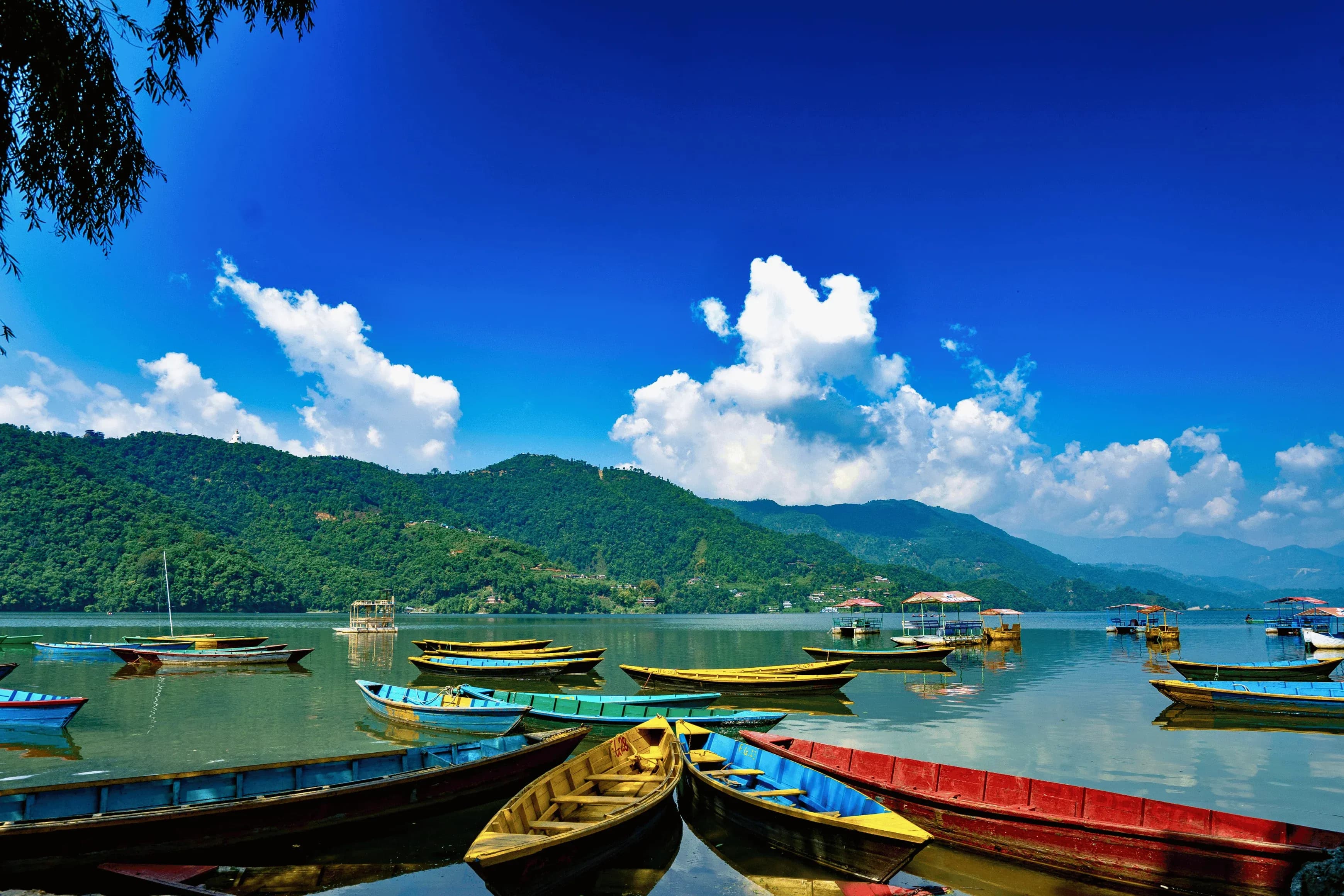Chitwan National Park Tour Package