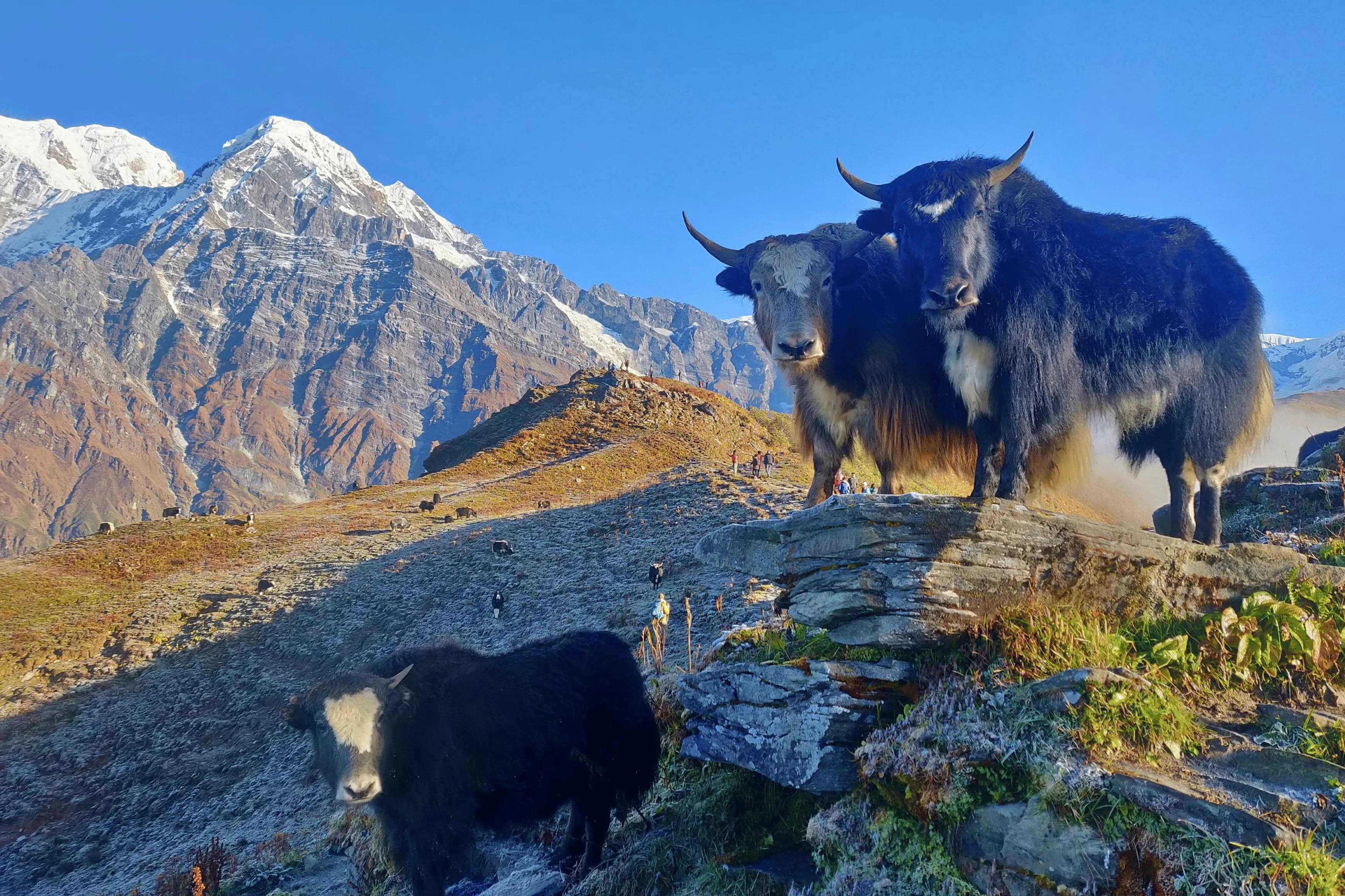 Everest View Trek Package