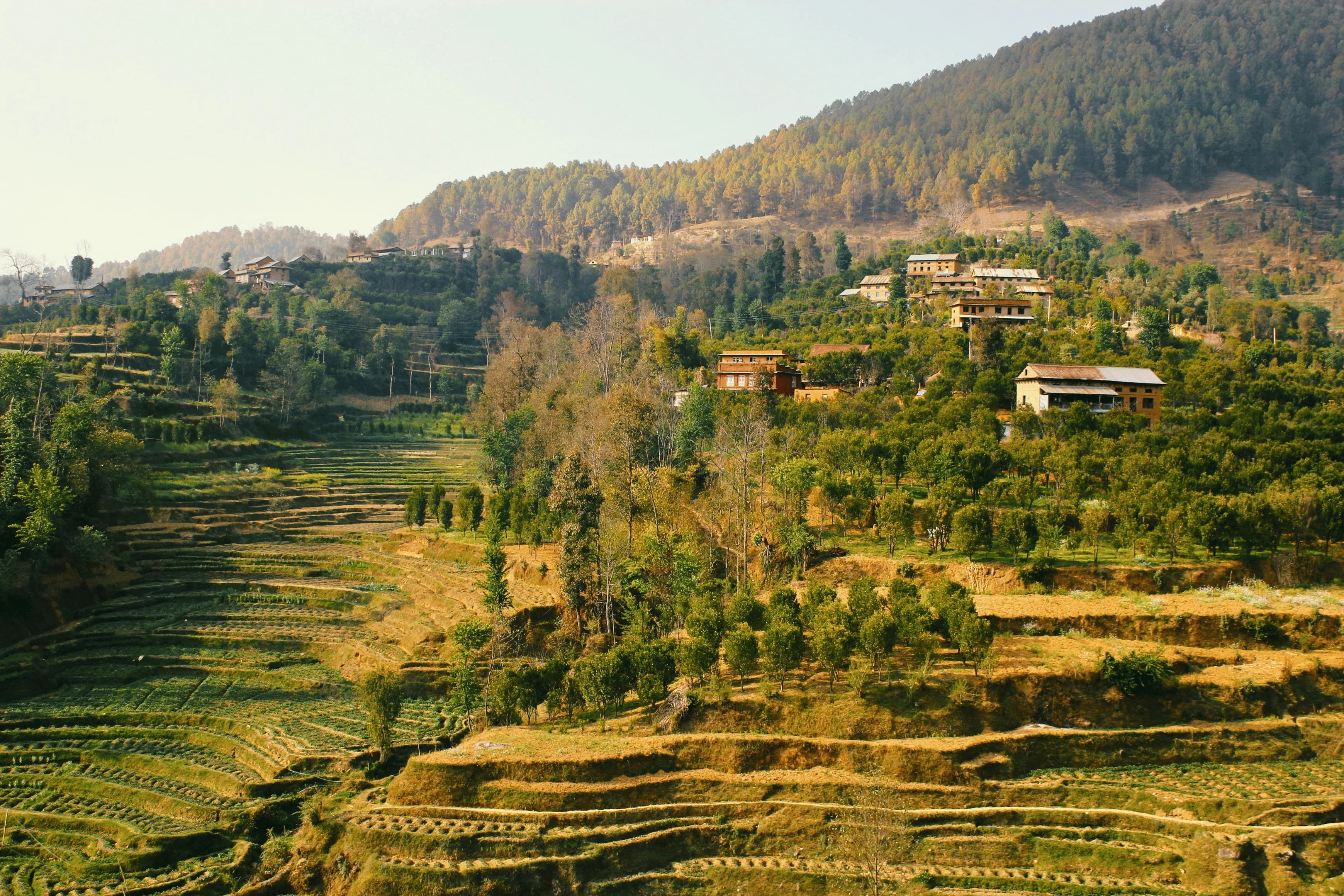 Ghandruk Village Tour Package