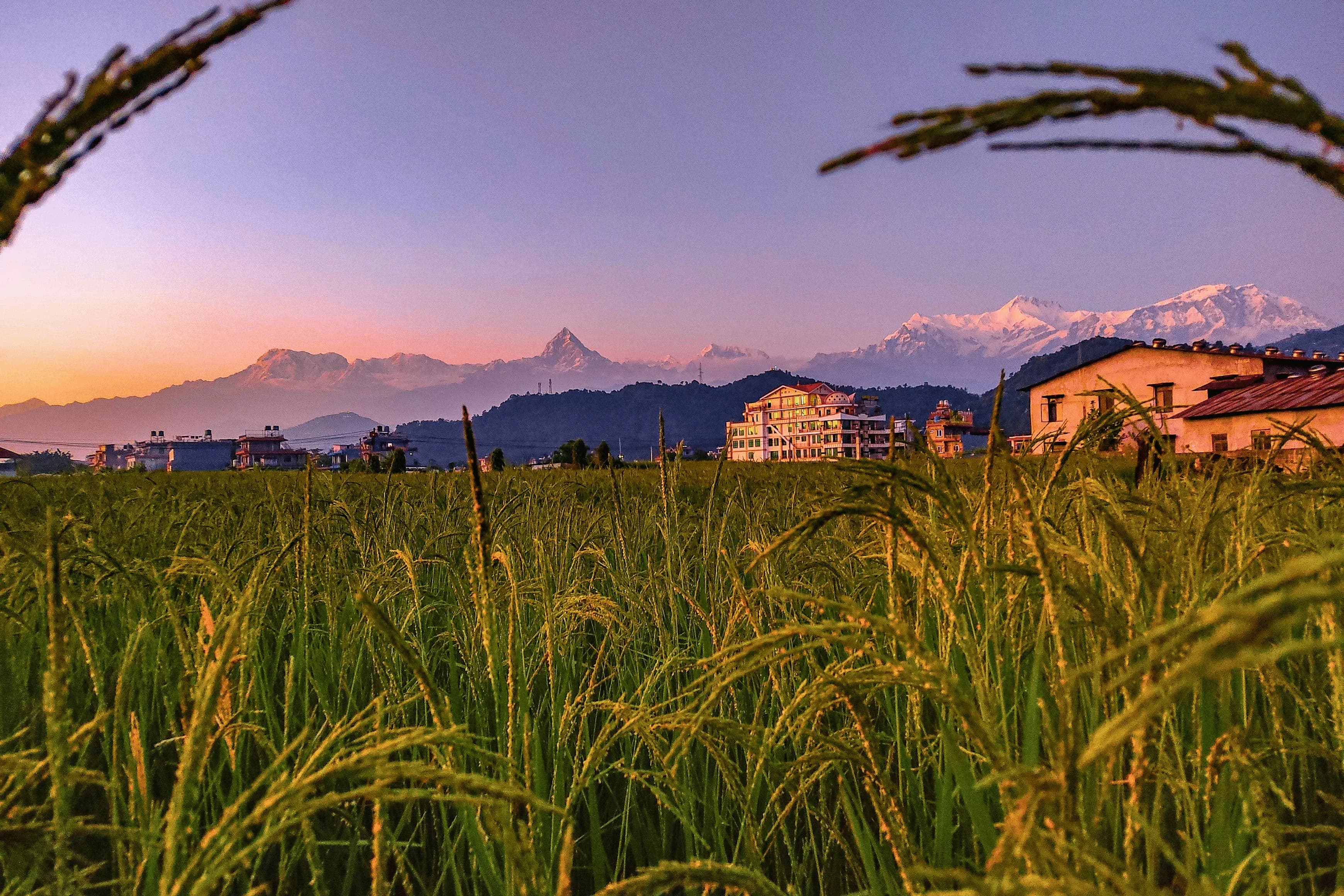 Gosaikunda Trek Package