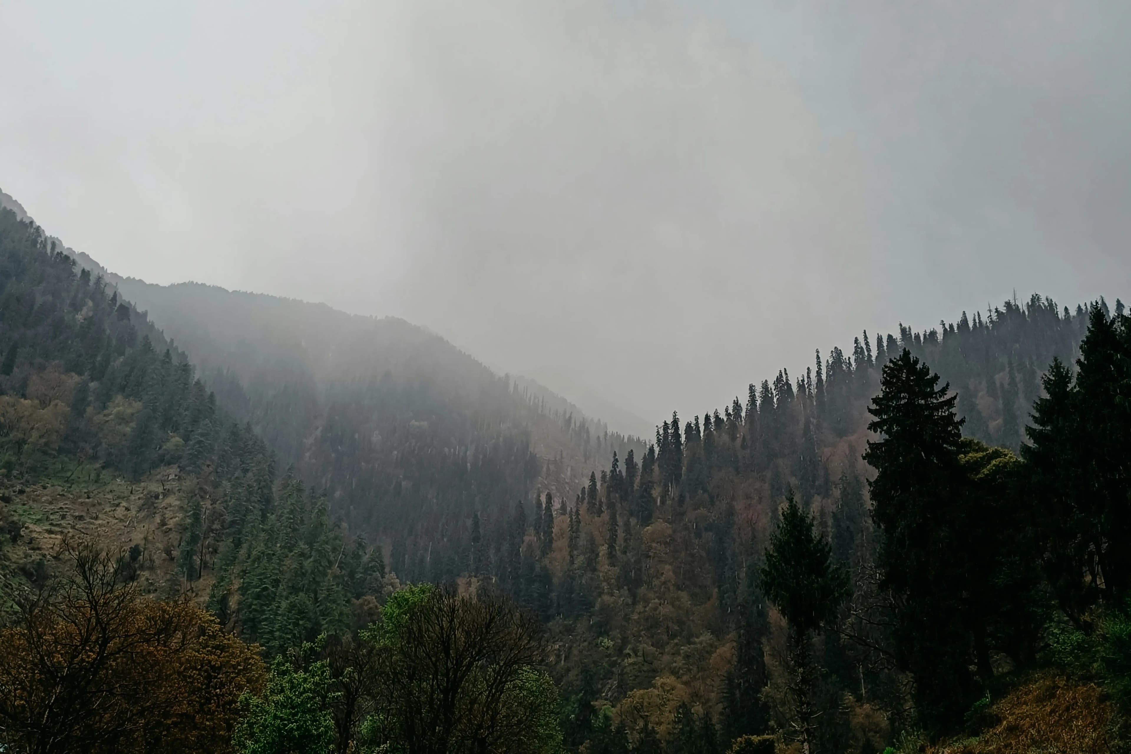Kasol Tour Package from Kolkata