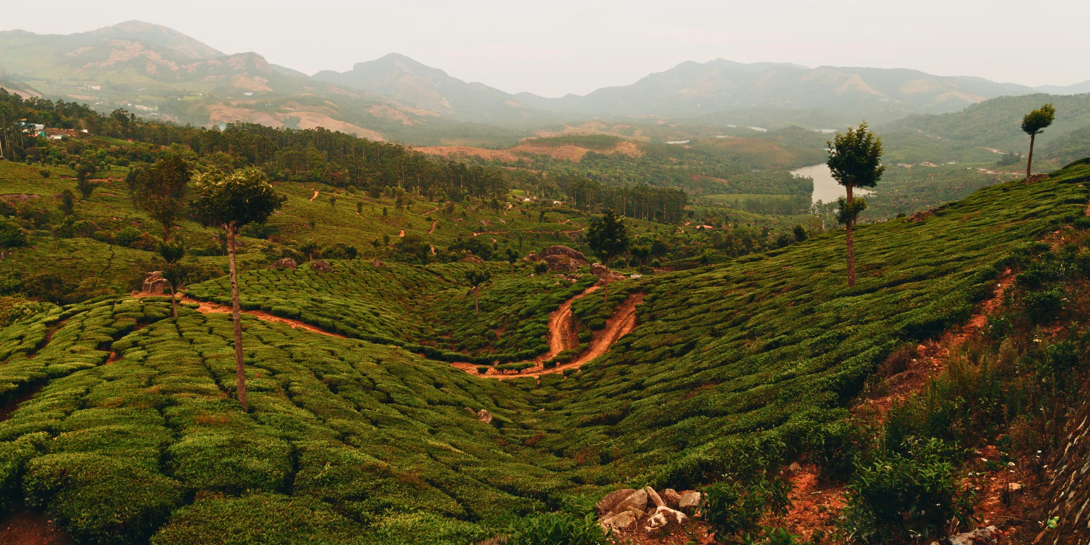 5 Days Kerala Package From Chennai 2027 | Swift