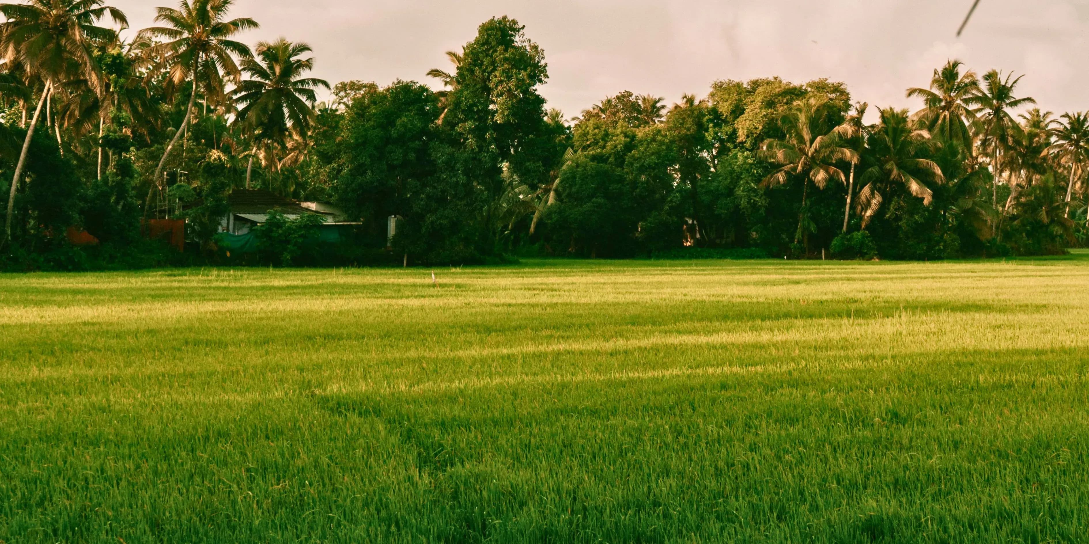 8 Days Kerala Tour Package From Ahmedabad 2027 | Rich