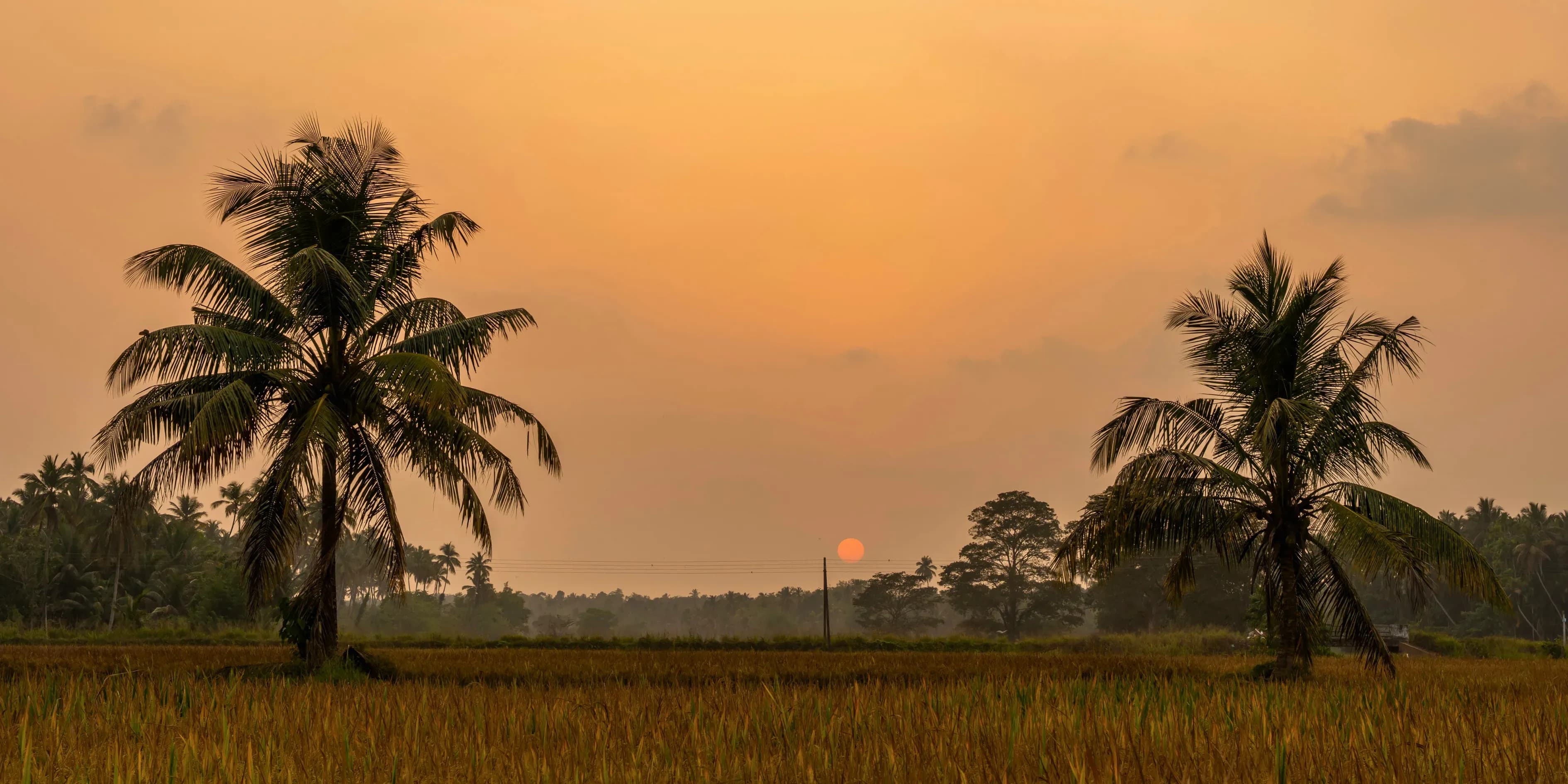 7 Days Kerala Tour Package From Hyderabad 2027 | Lush