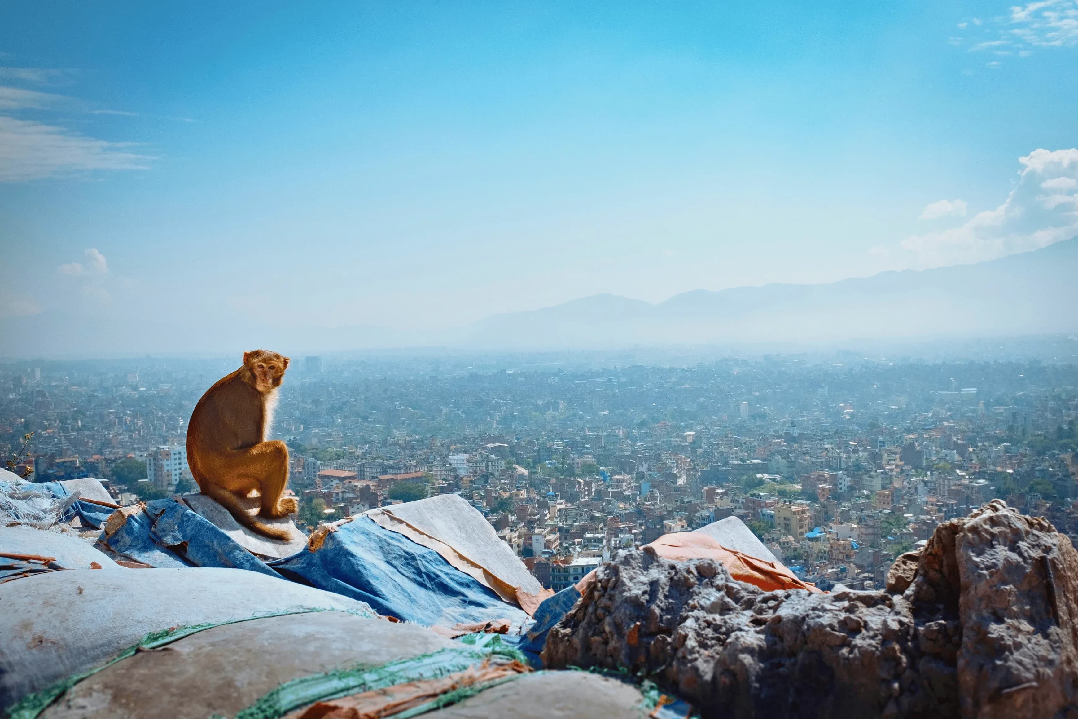 Koshi Tappu Wildlife Tour Package