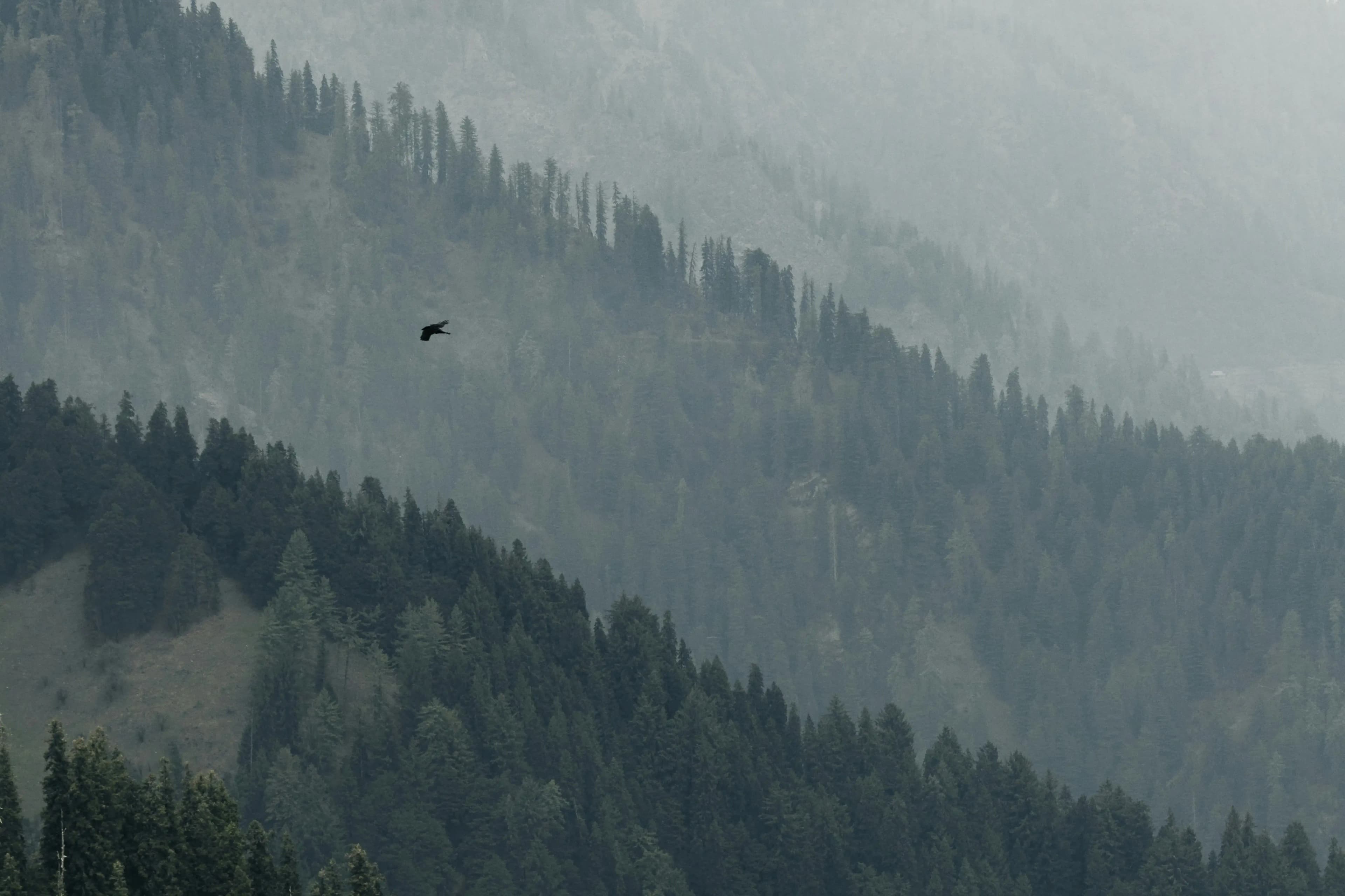 Kullu Manali River Rafting Package