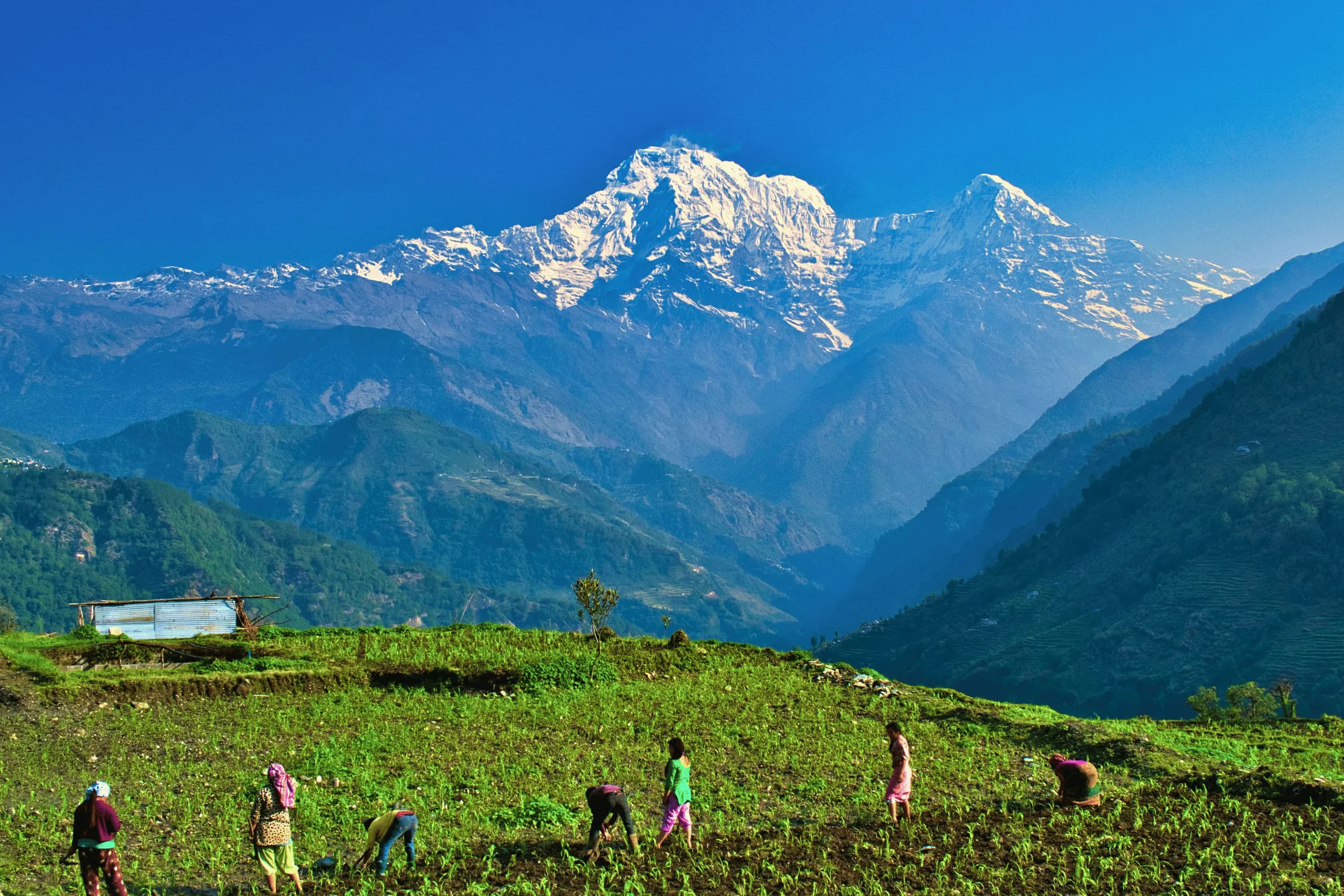 Muktinath Tour Package from Delhi