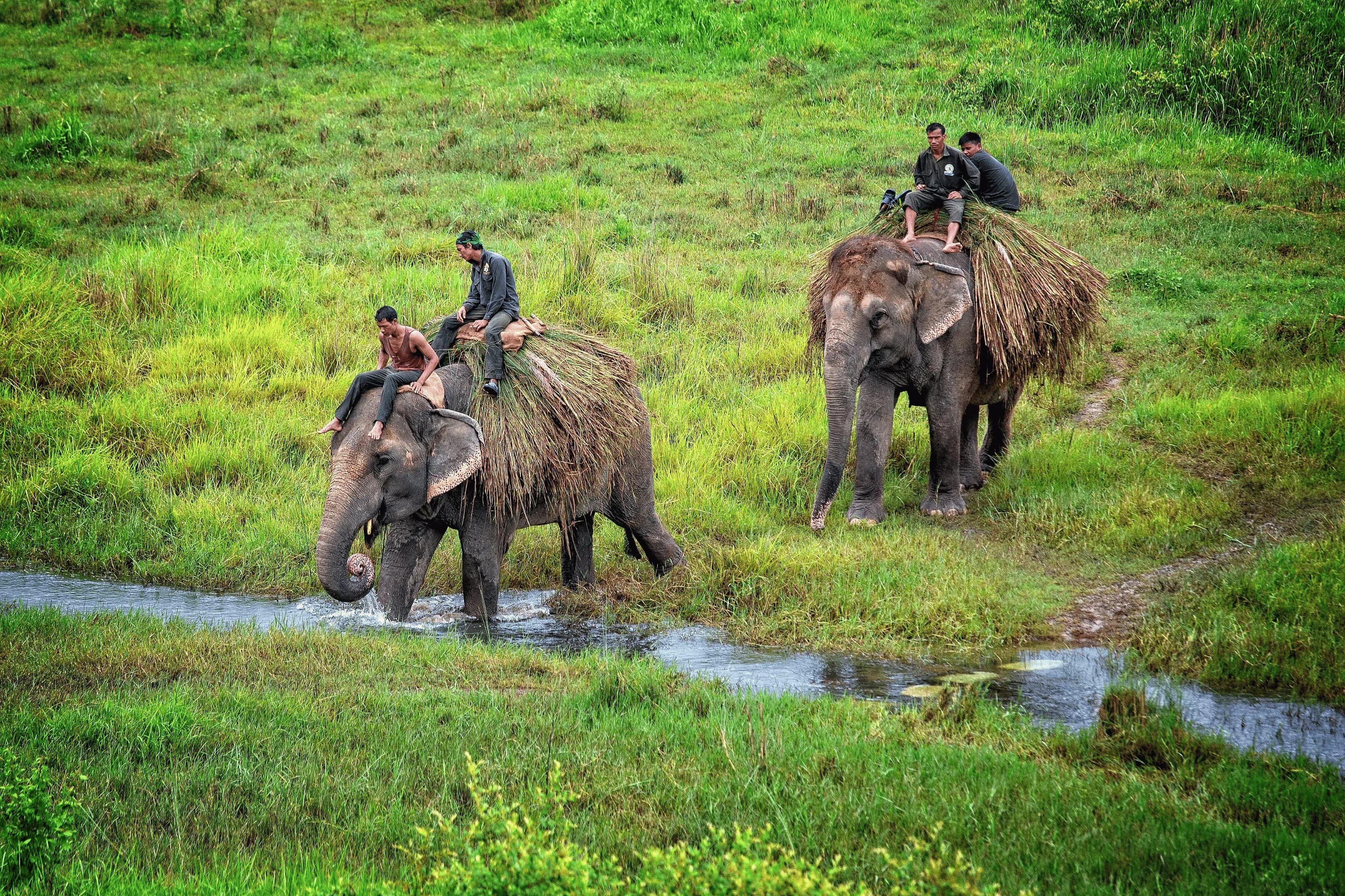 Nepal Tour Package from Banbasa