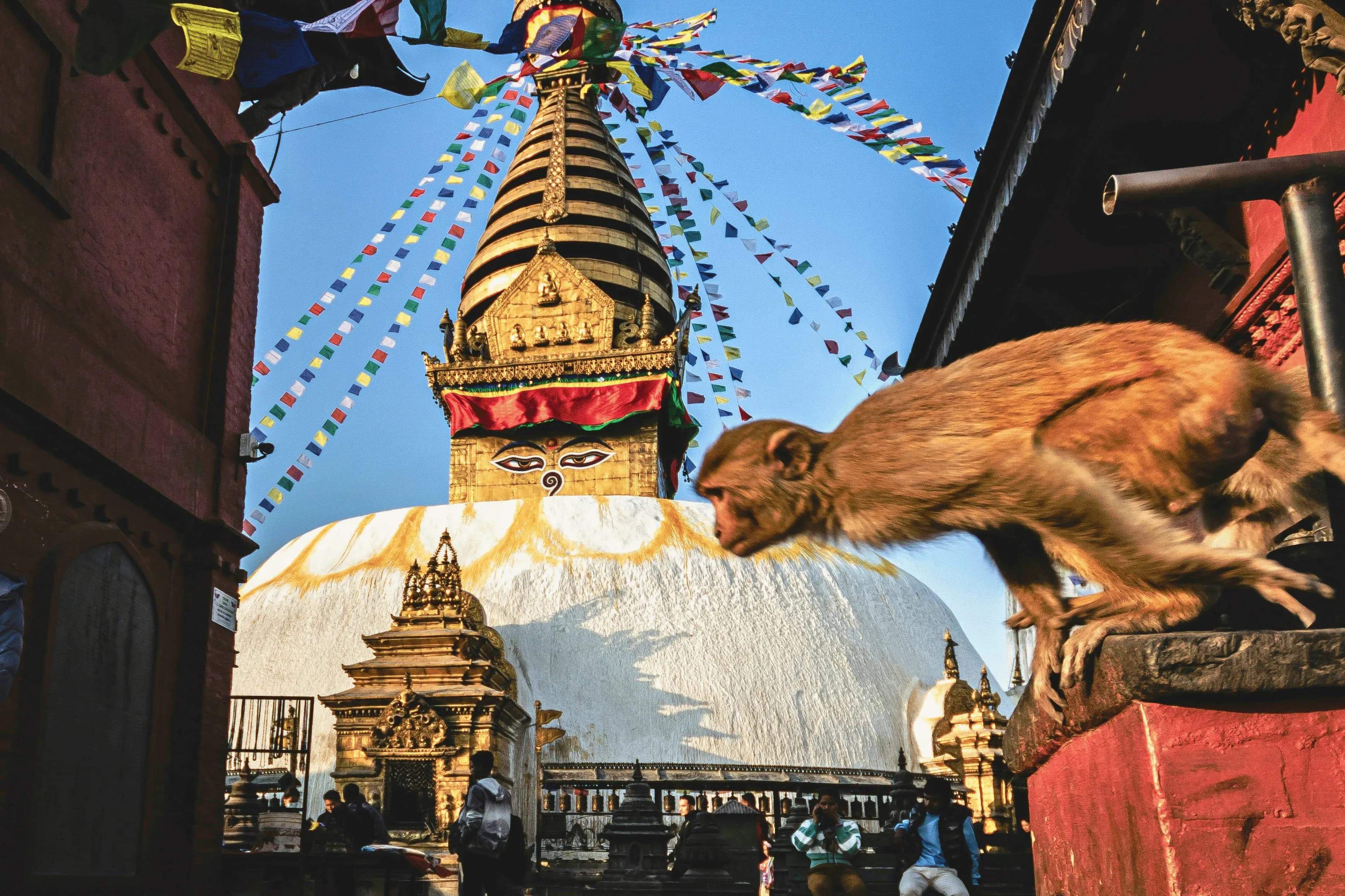 Nepal Tour Package from Mumbai
