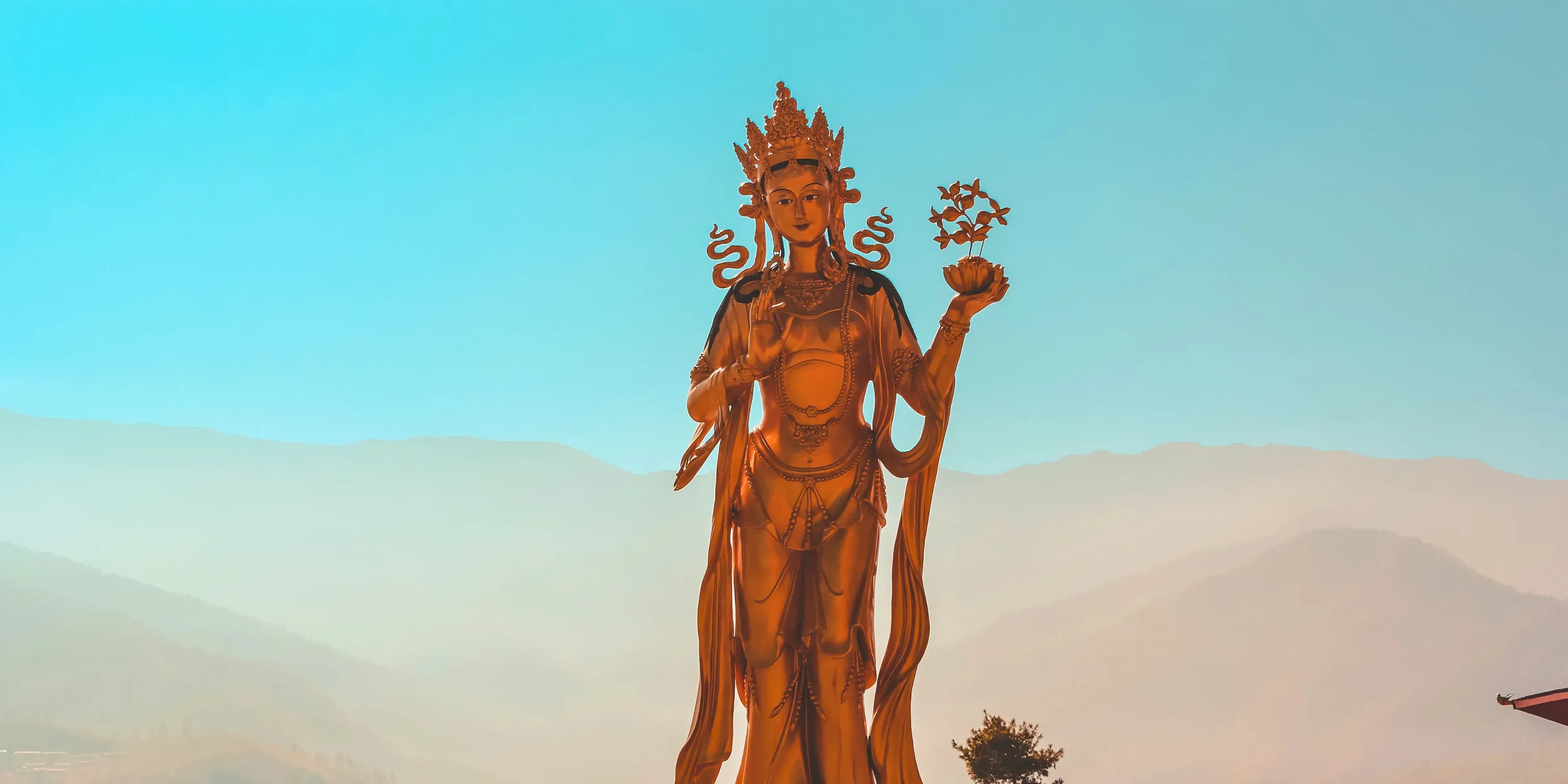 Sacred Paro Tshechu Festival Tour Package 2026 | Wonder