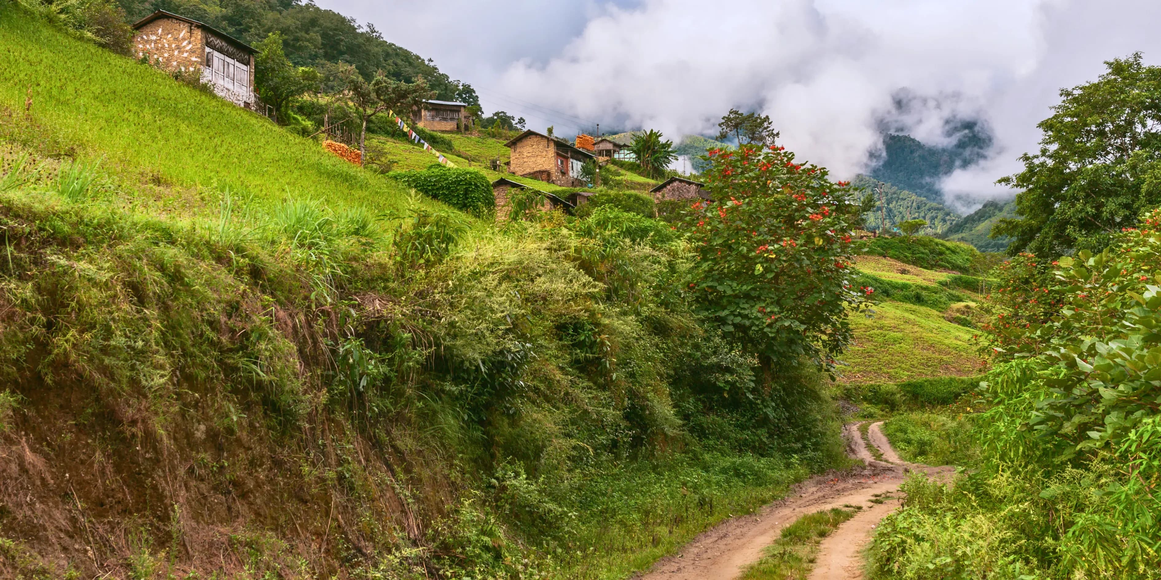 Pure 8 Days Raipur to Arunachal Tour Package | Glorious