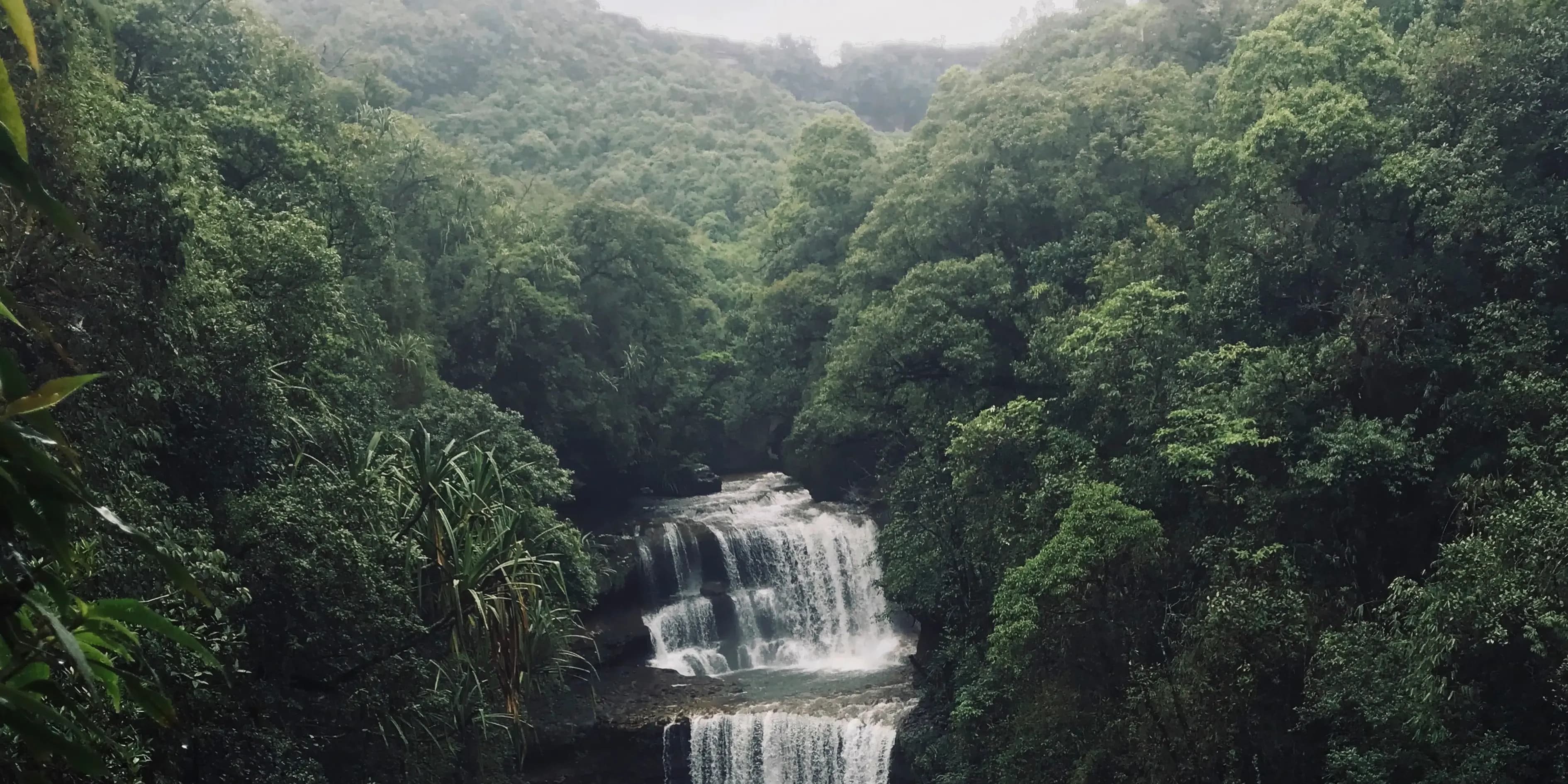 Deep 3 Days Rapleng Canyon Meghalaya | Lively