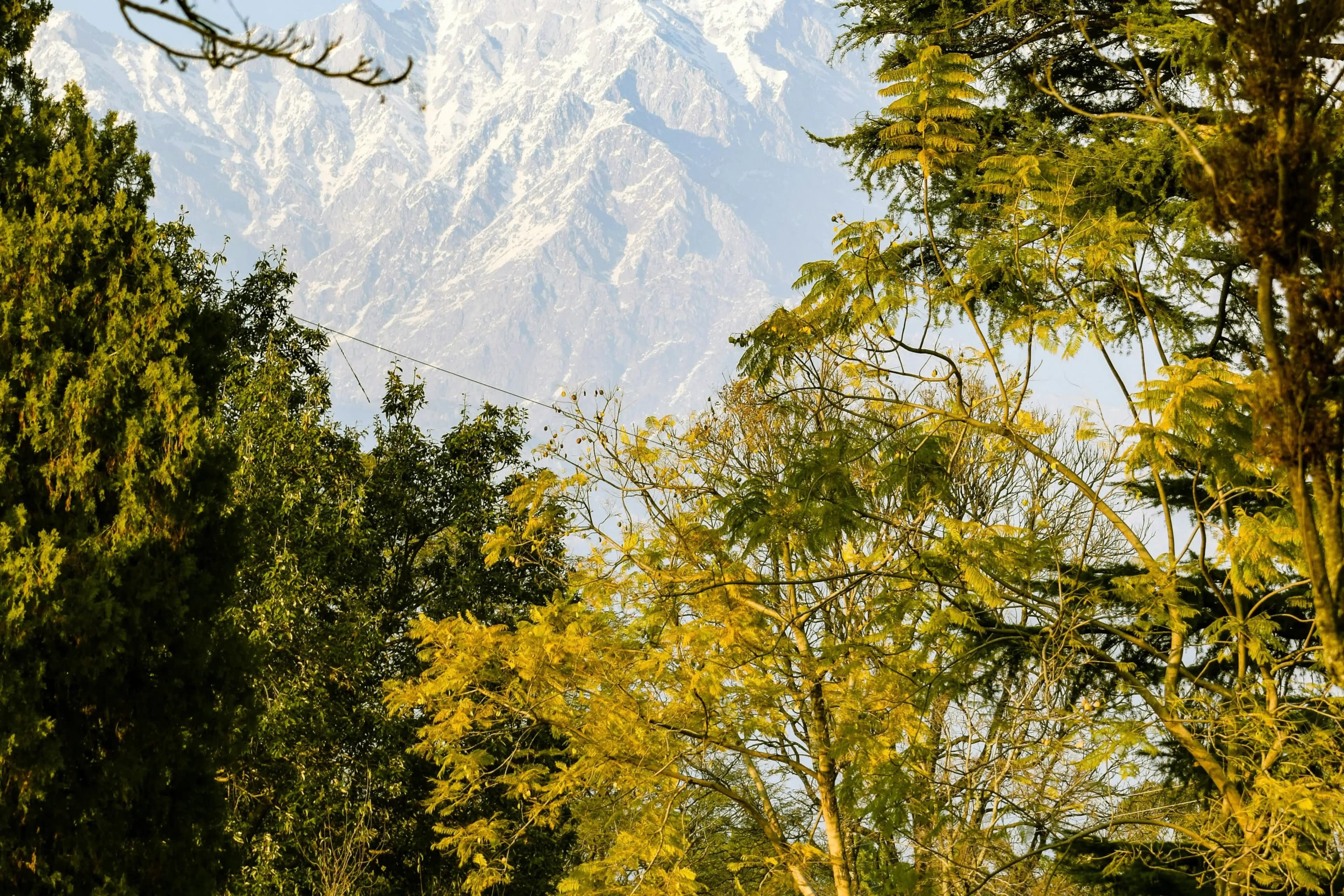 Shimla Honeymoon Package from Delhi