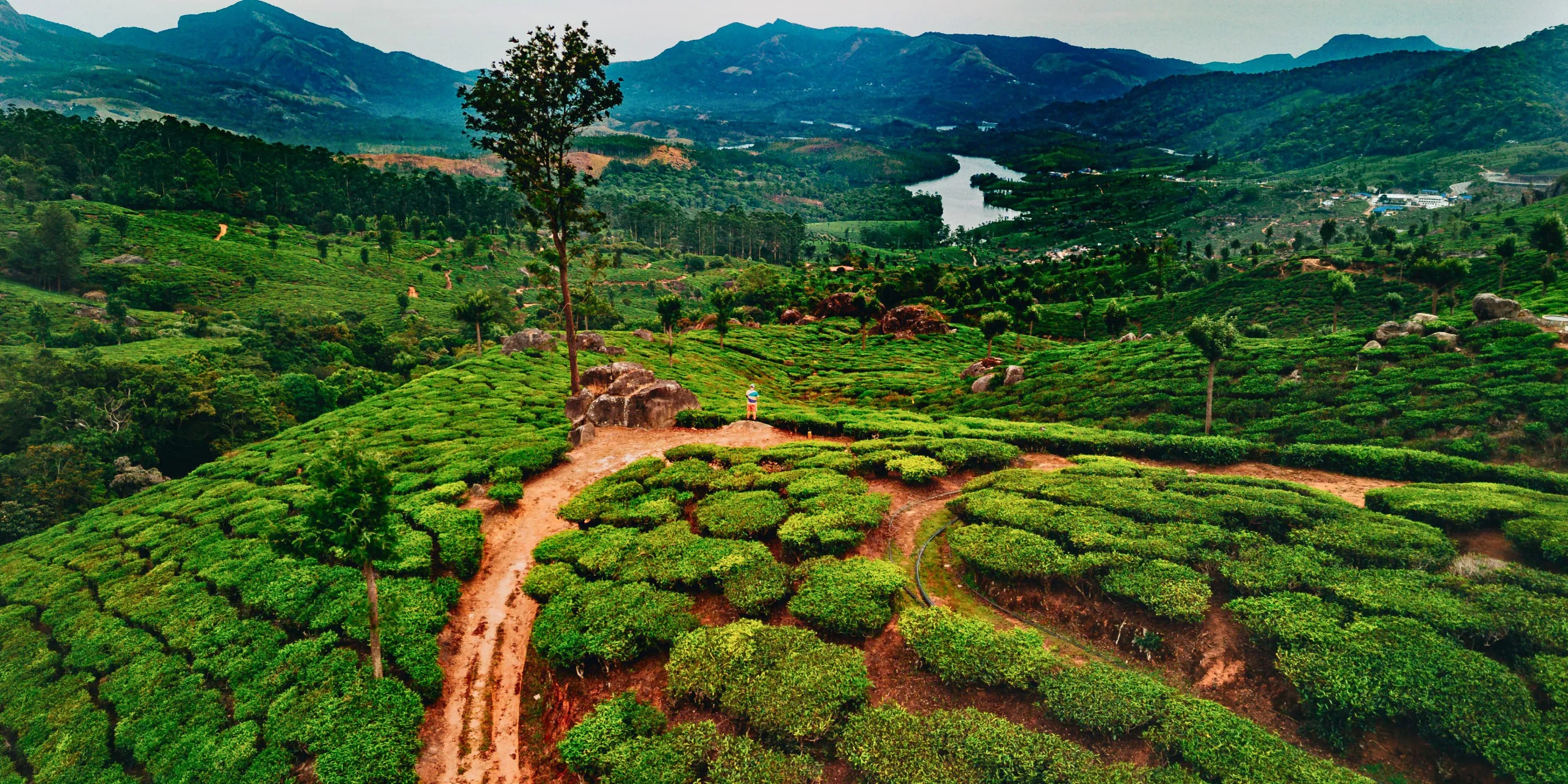 6 Days Silent Valley National Park Tour Package | Hushed