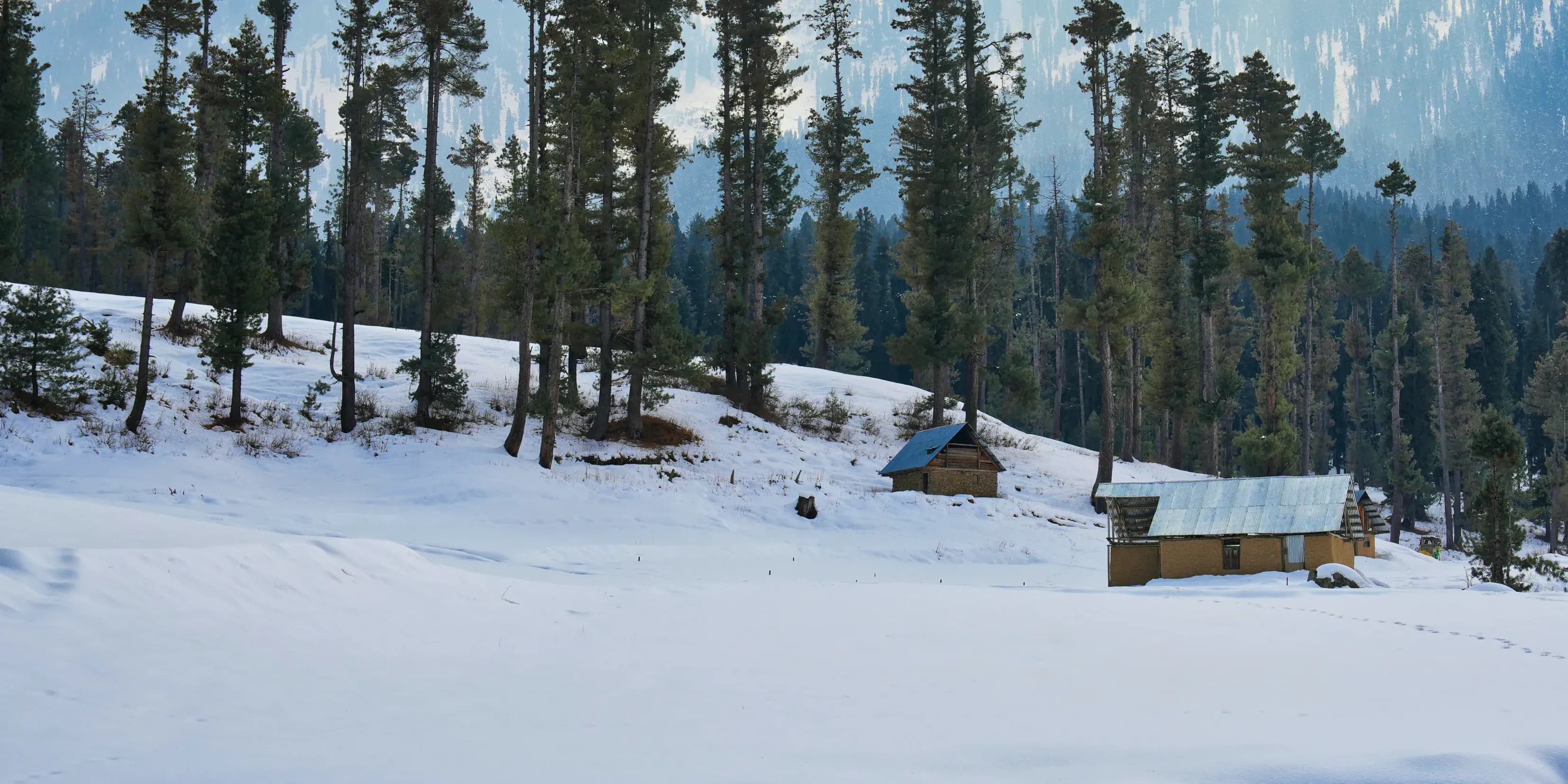 Classic 4 Days Srinagar Houseboat Kashmir Package | Dreamy
