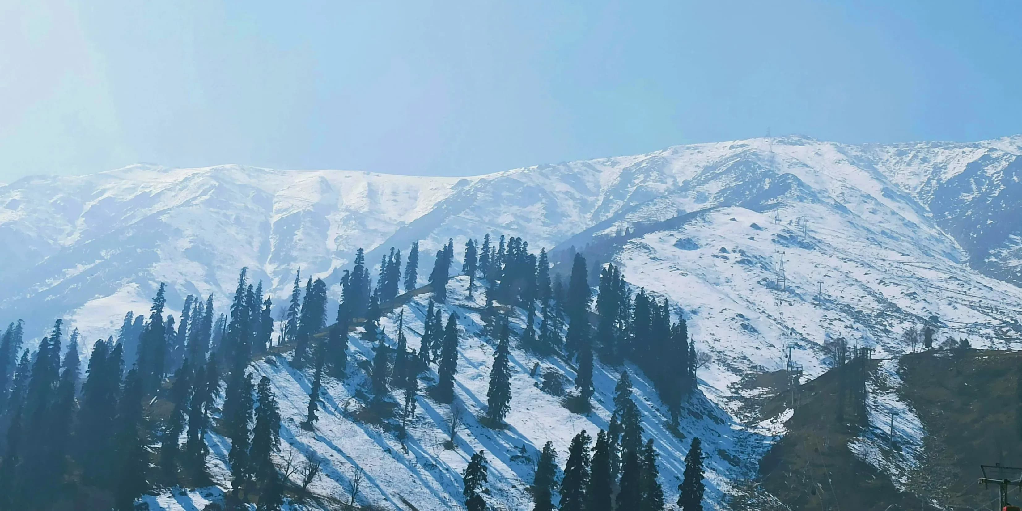 Prime 4 Days Tulip Garden Kashmir Package | Bloom