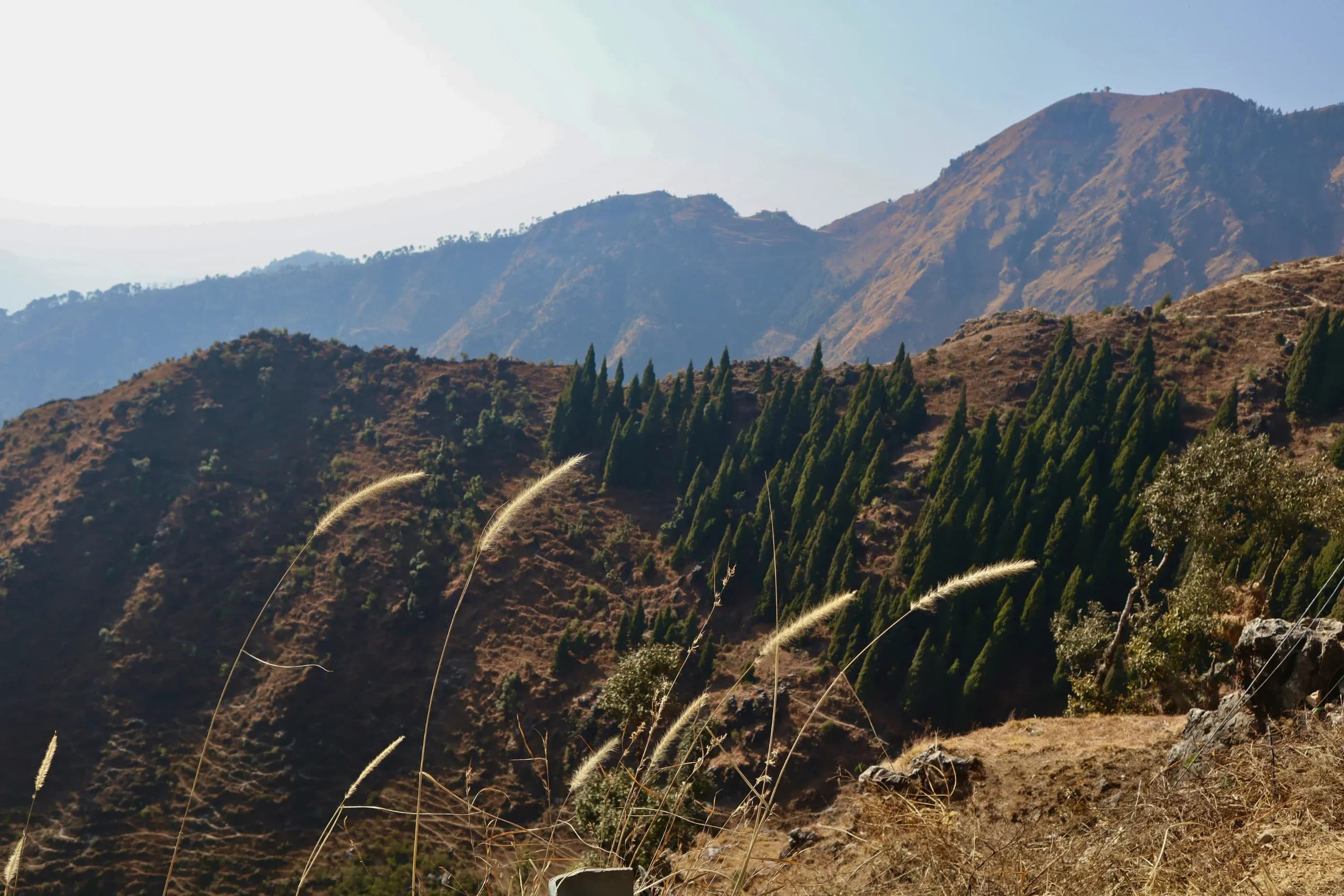 Uttarakhand Honeymoon Package