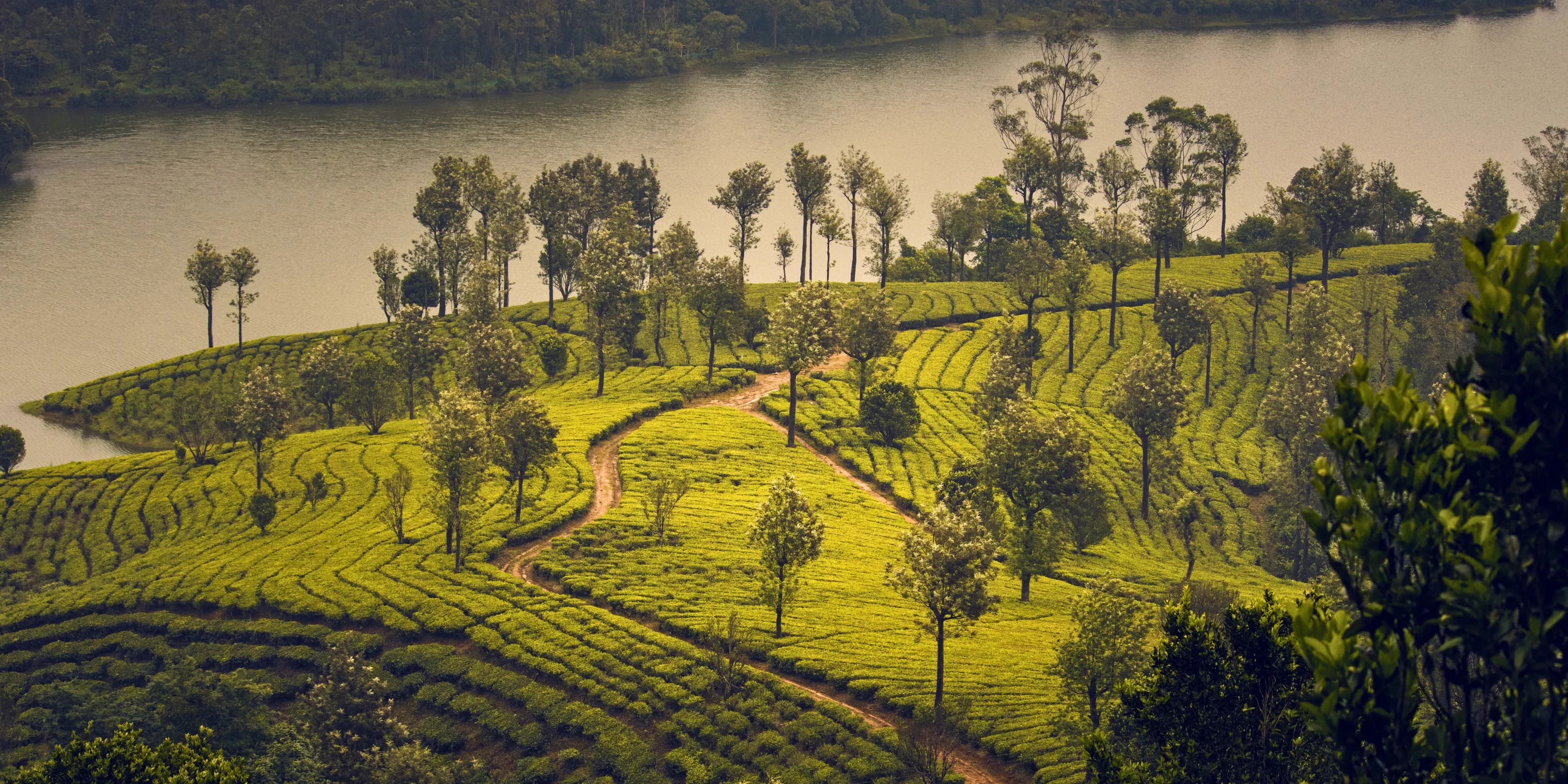 6 Days Valiyaparamba Backwater Tour Package Kerala | Island
