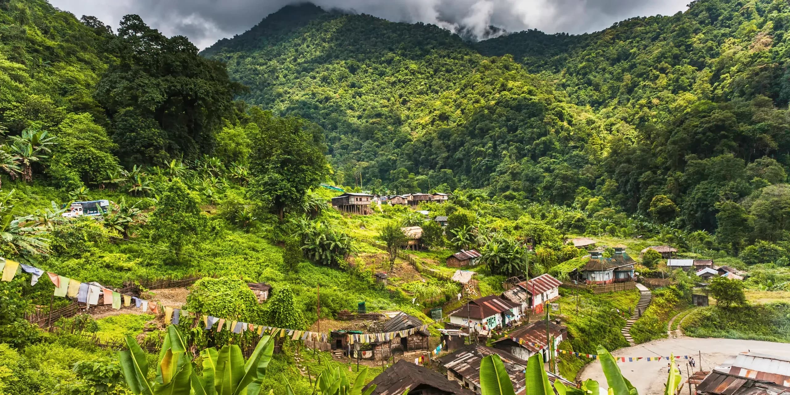 Experience the Magic: Ziro Valley Tour Package 2026