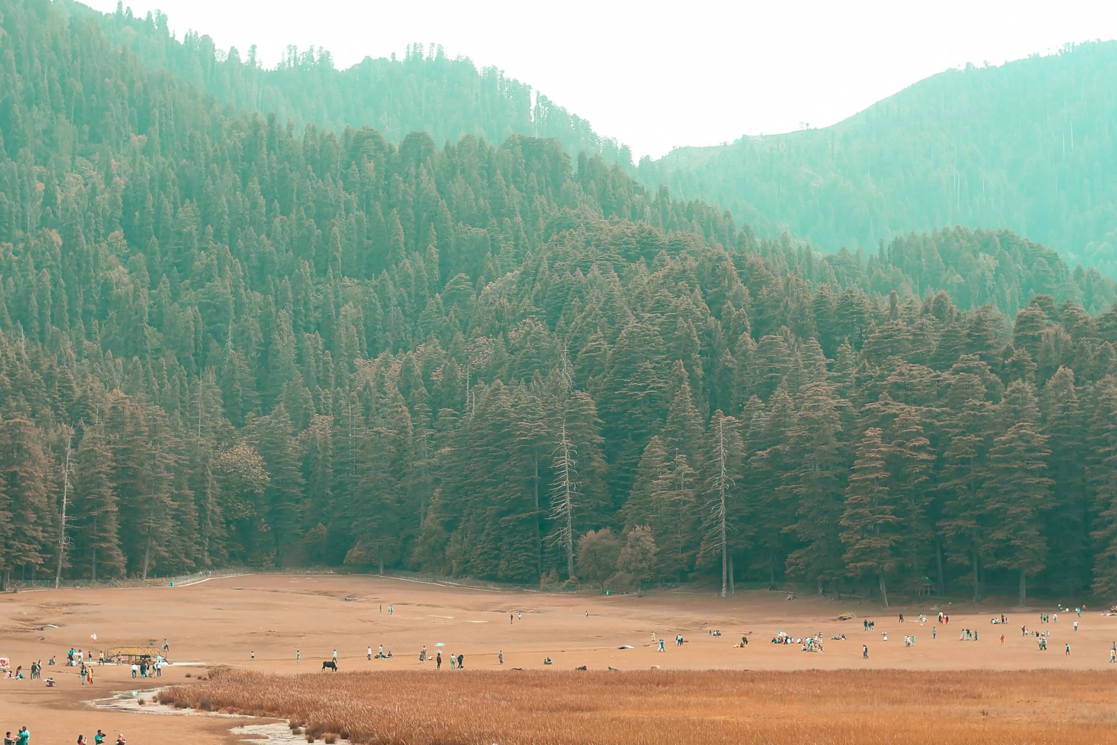 Dharamsala McLeodganj Tour Package from Chennai