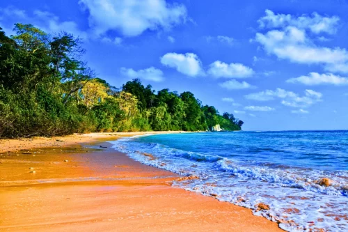 Pristine white sands meeting turquoise waters at Radhanagar Beach - ranked among Asia's best beaches in Andaman honeymoon packages