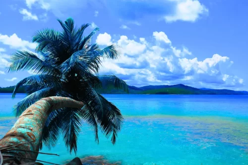 Crystal-clear turquoise waters surrounding the islands - experience paradise with Andaman and Nicobar packages