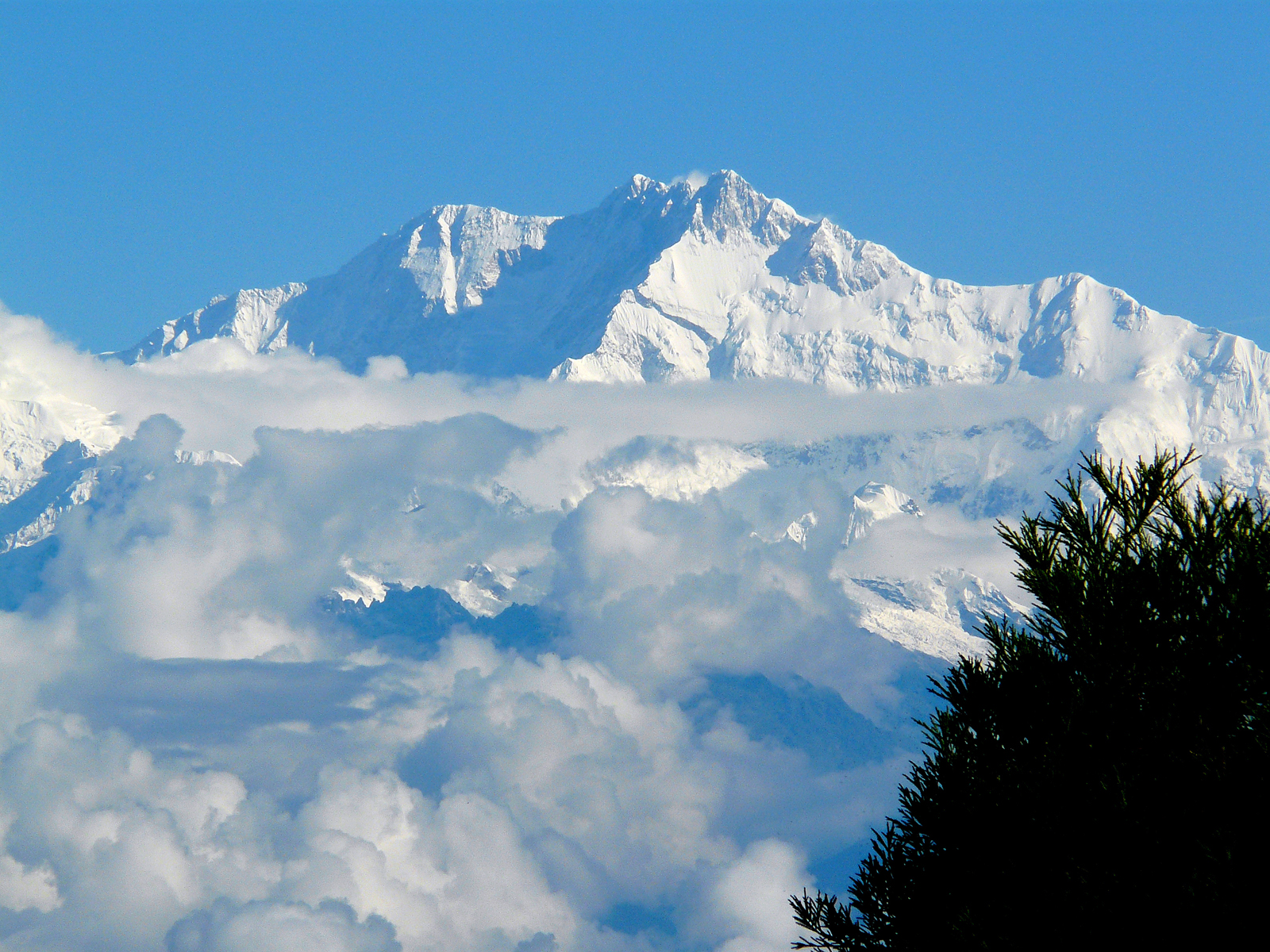 Bon Voyagers Darjeeling